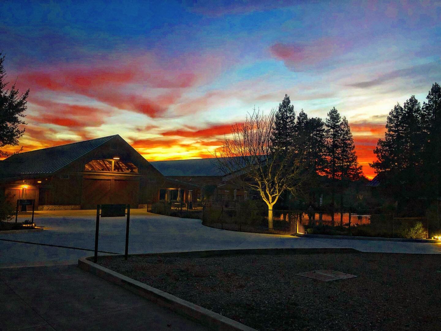 The views from the vineyard are always spectacular. Tonight was no exception!

#winecountry #sonoma #sonomacounty #windsorca #autumn #california #bricoleurvineyards