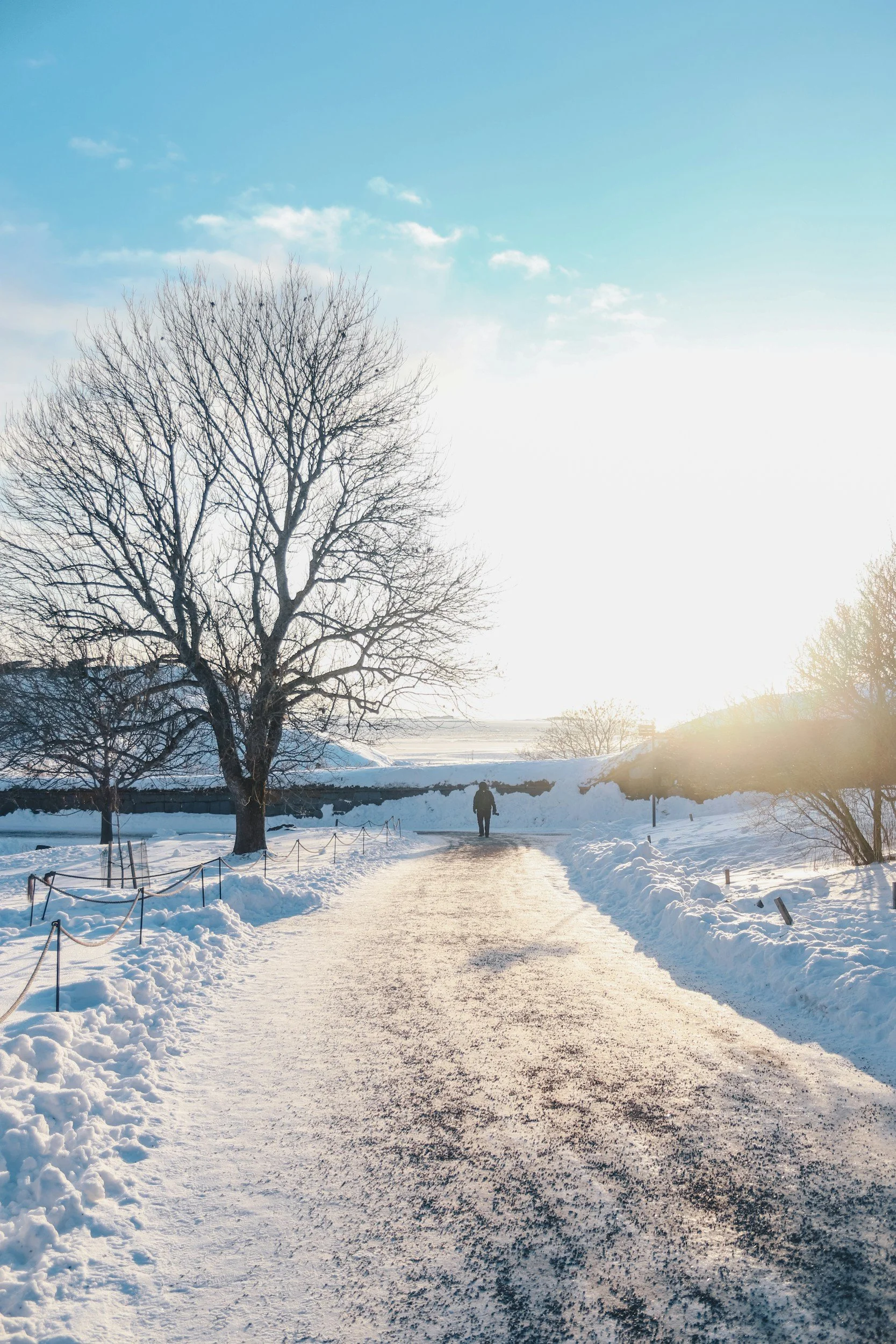 How to Cope with Loneliness During the Winter Months