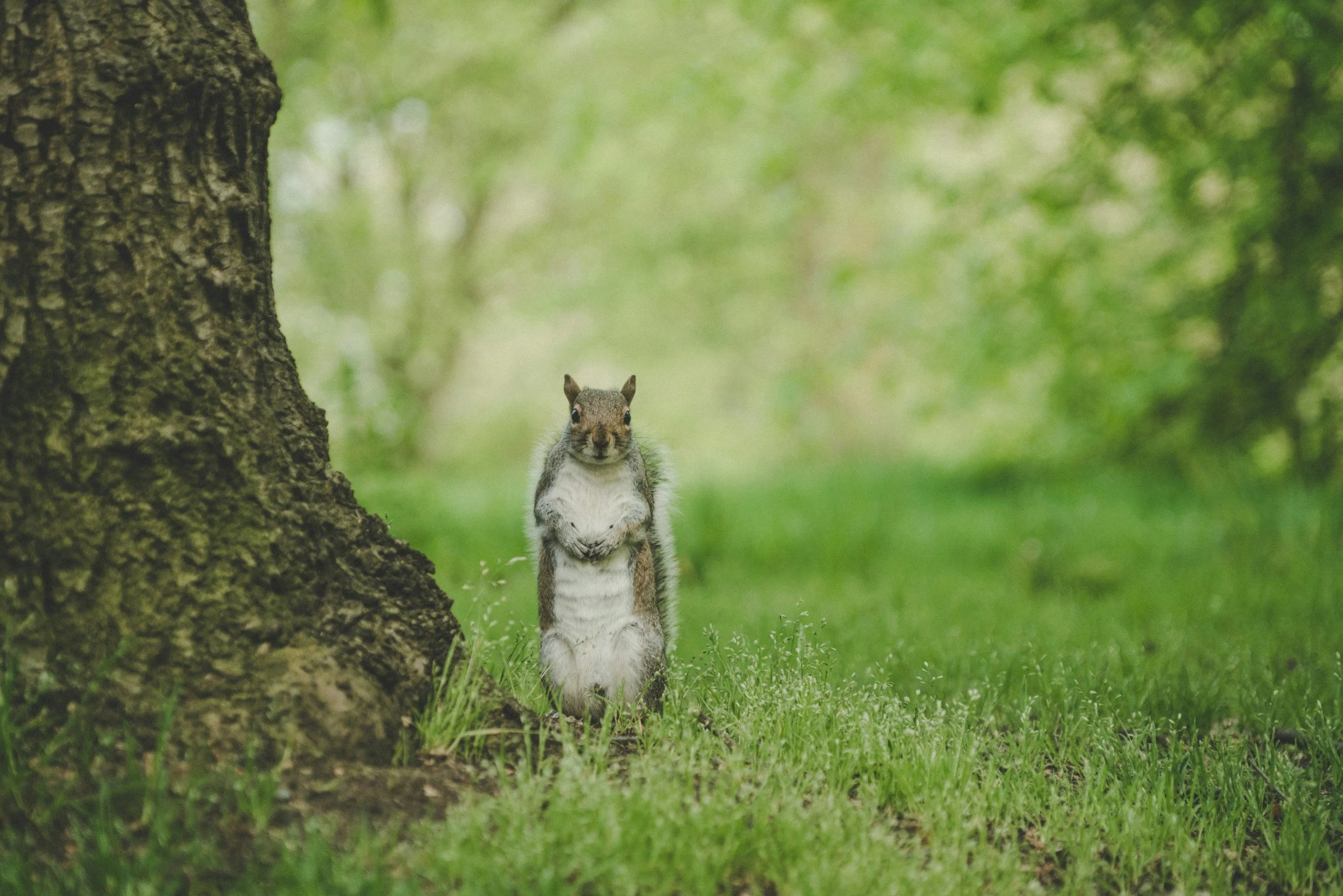 The Attention Economy: Why It Feels So Hard to Be Present (And Why Your Brain Pays the Price)