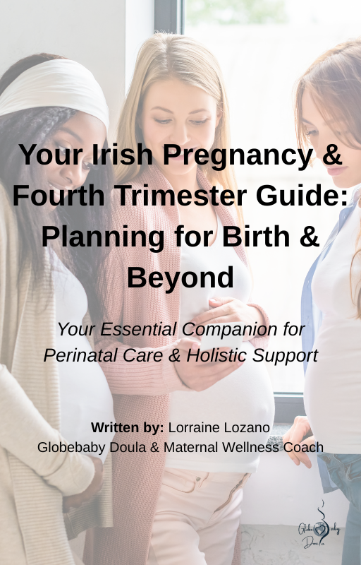 The Irish Pregnancy Appointment Planner & Question Guide.png