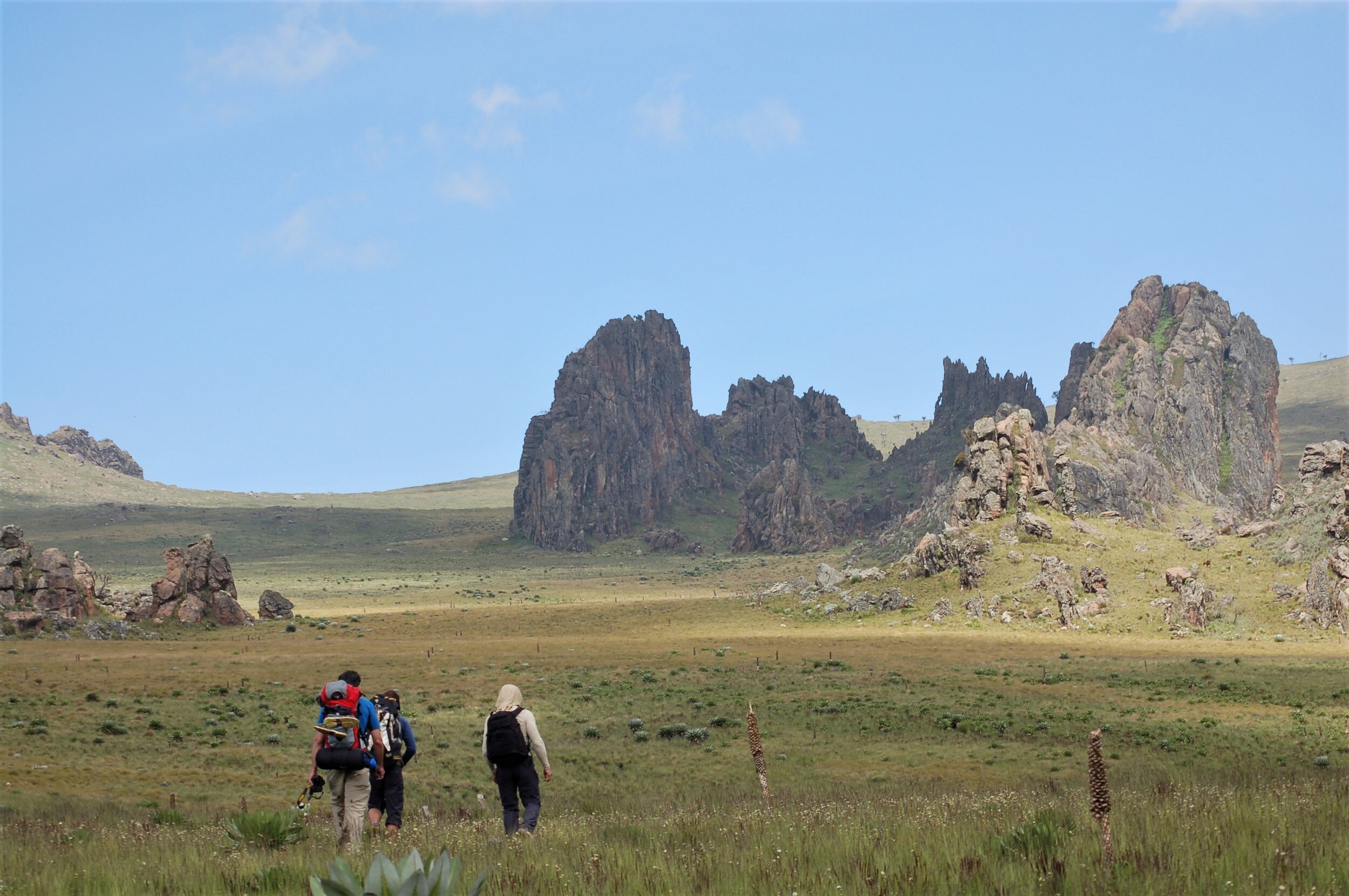 Trekking in the Aberdares