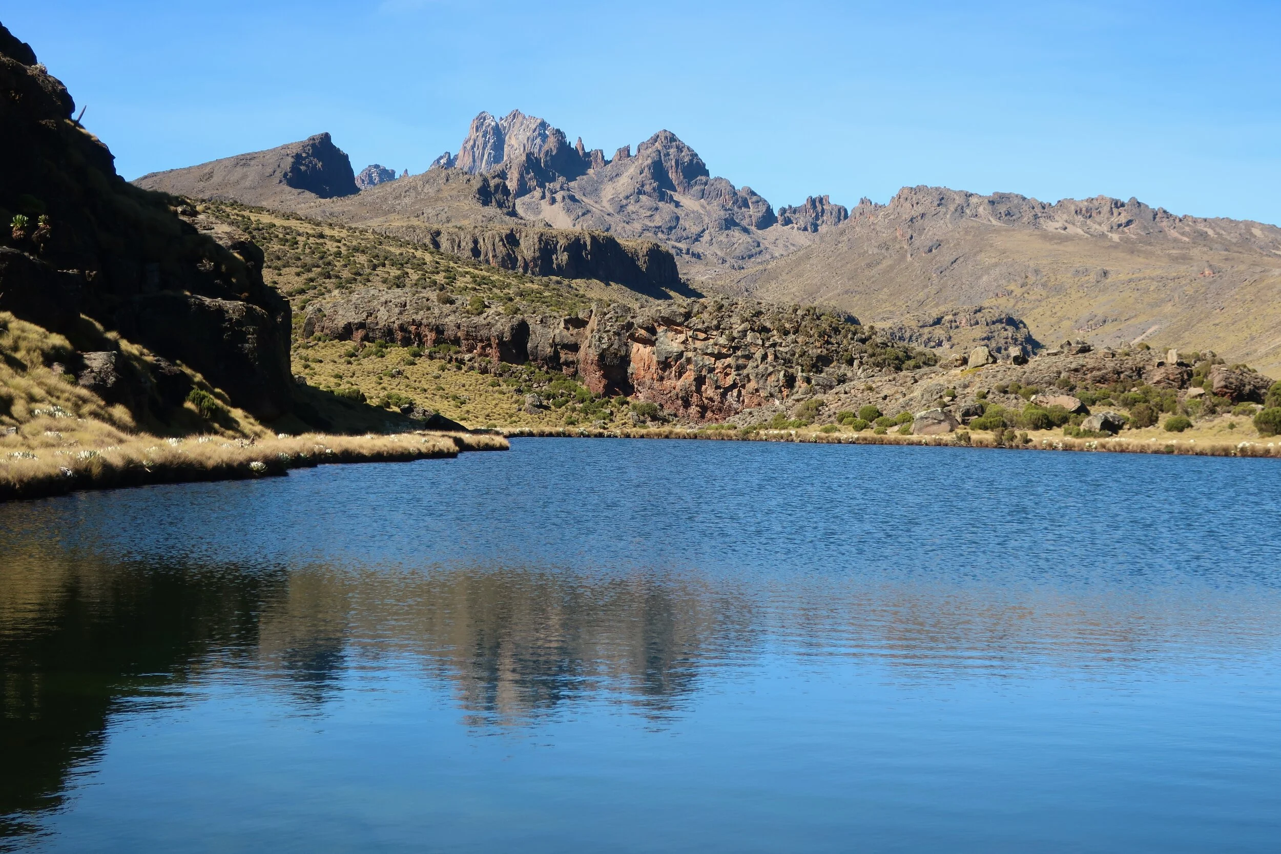 Mt Kenya from the Timau Route.jpg