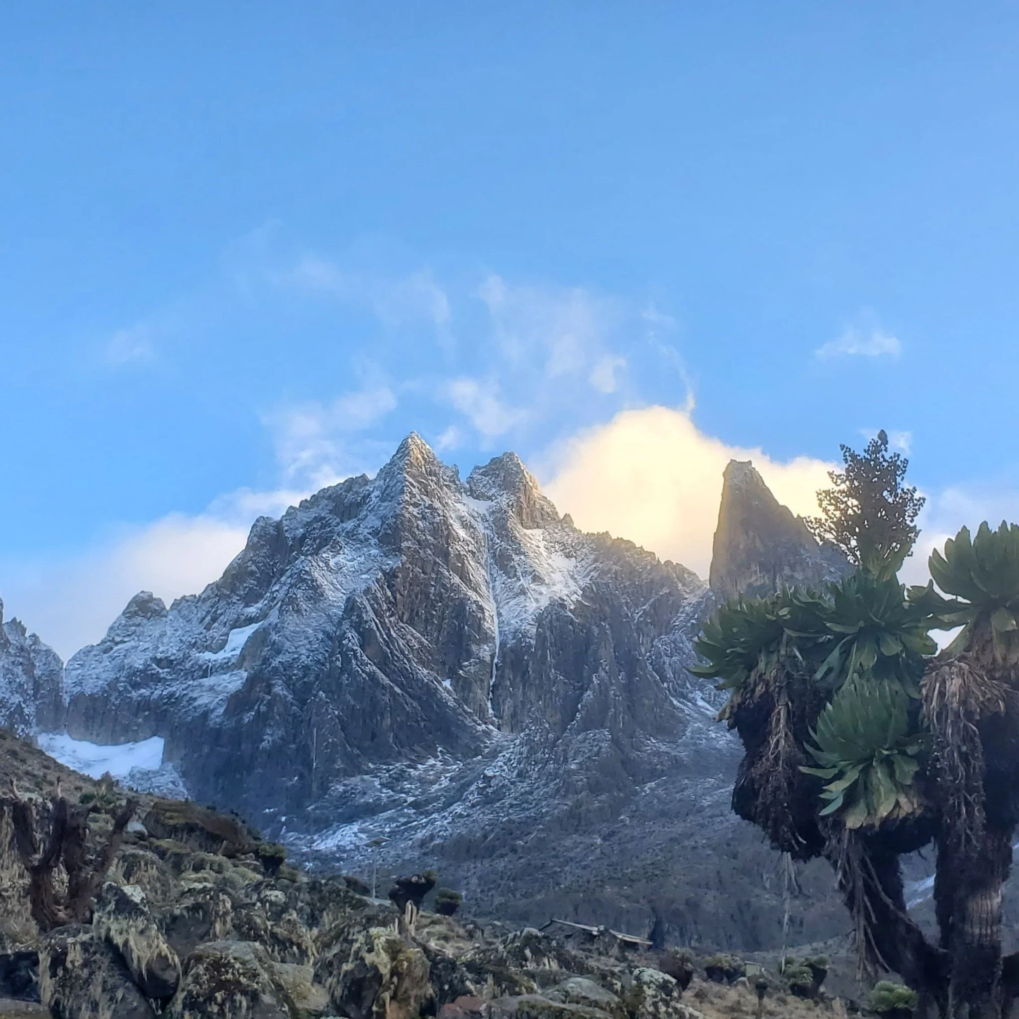 Over the past few weeks, our up-and-coming technical guides had the privilege of intensive training with certified trainers Jack and Ella 🧗&zwj;♀️. 

With the busy holiday season ahead 🎄, it was the perfect time to refresh and sharpen skills. From 