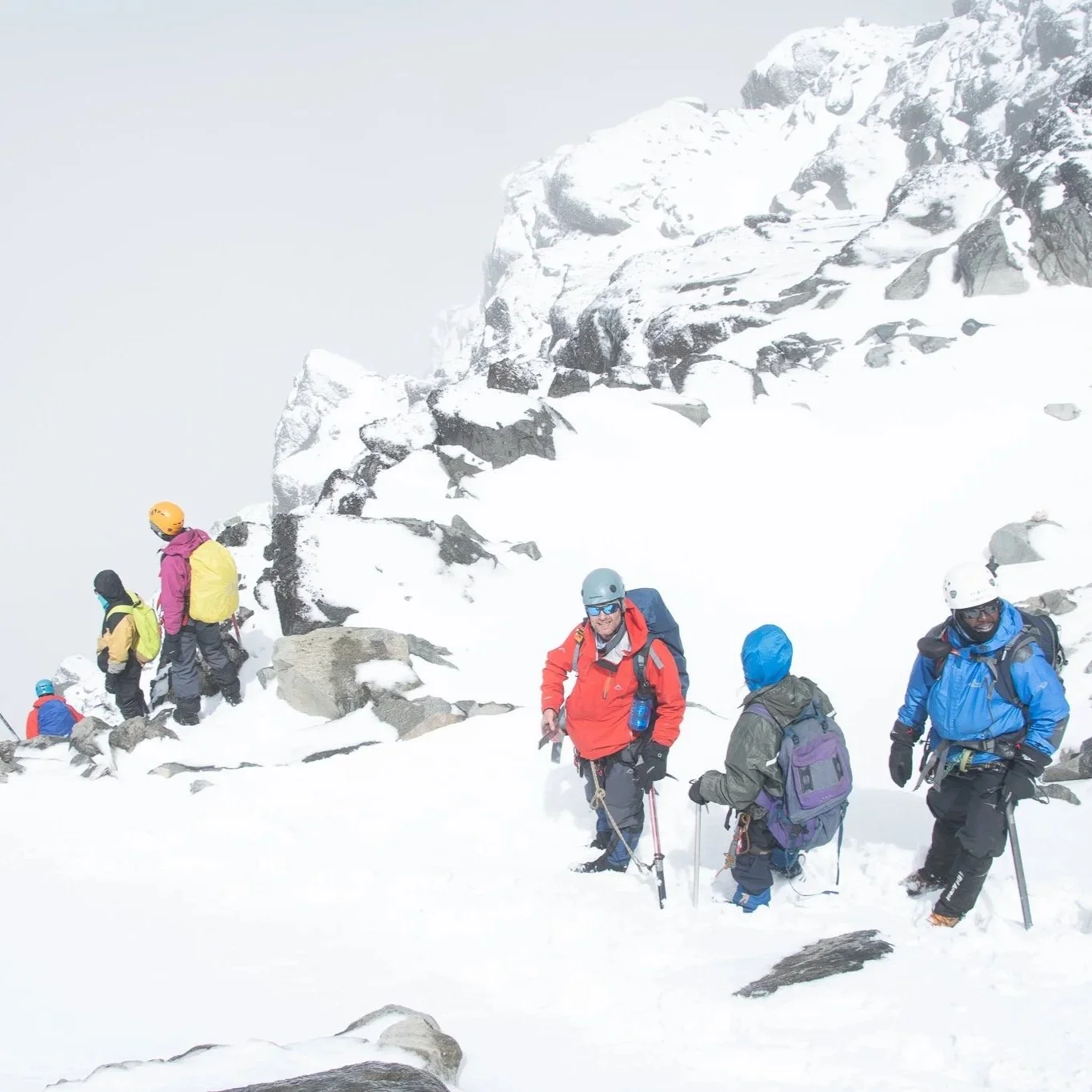 Rwenzoris