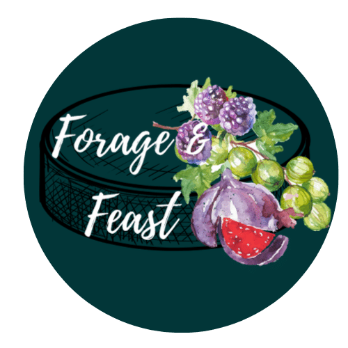 Forage & Feast