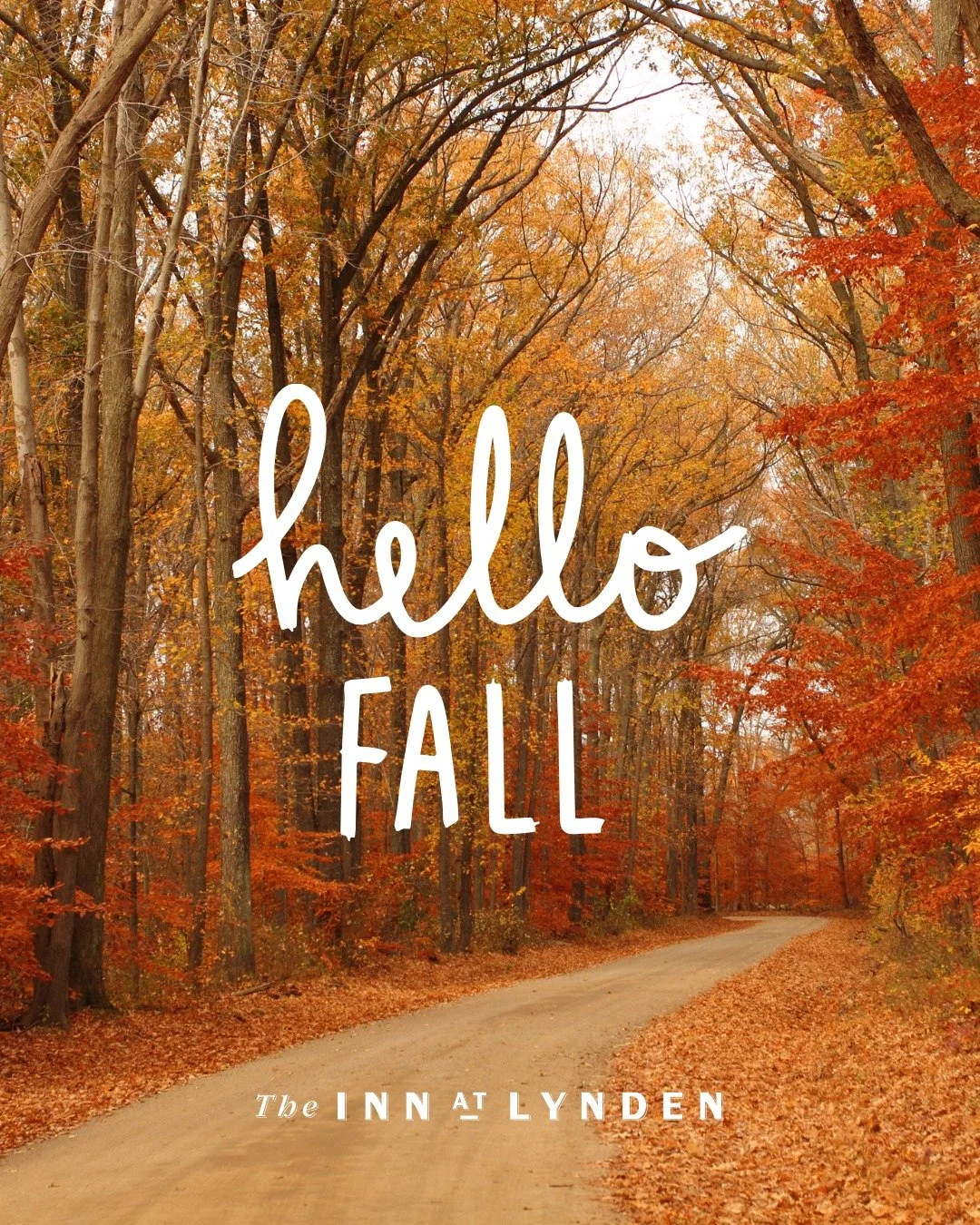 Leaf it to us to kick off fall with a deal

We&rsquo;re welcoming the season with cozy vibes and cozy savings. Our Fall Into Savings promo is officially underway, book now and save up to 30% on multi-night stays through the end of the year.

The leav