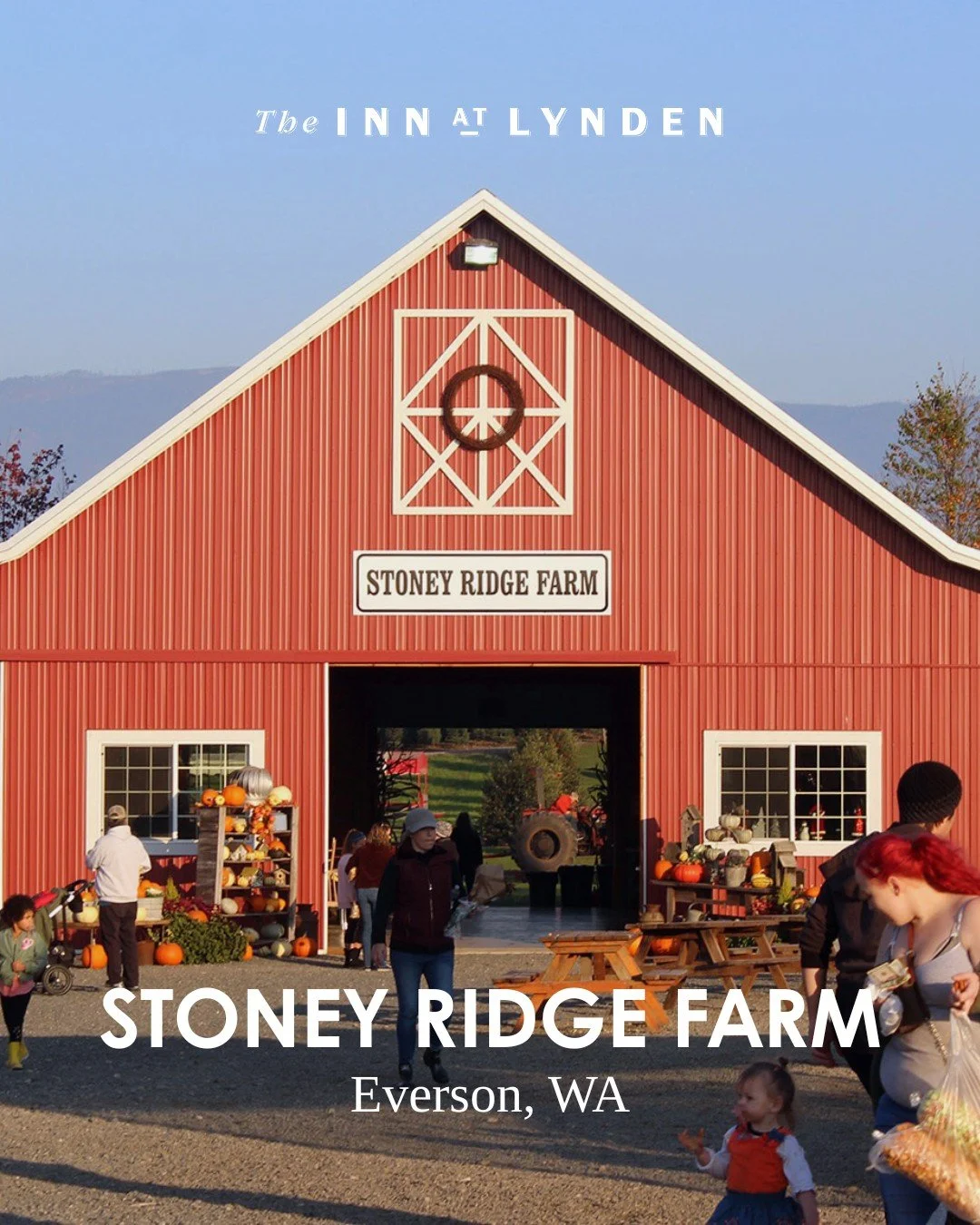 This Place is Pumpkin Special
Stoney Ridge Farm in Everson, WA is officially in fall mode, and it’s the perfect spot for some autumn adventure! Enjoy a day of pumpkin picking, exploring the corn maze, sipping fresh apple cider, and hopping on