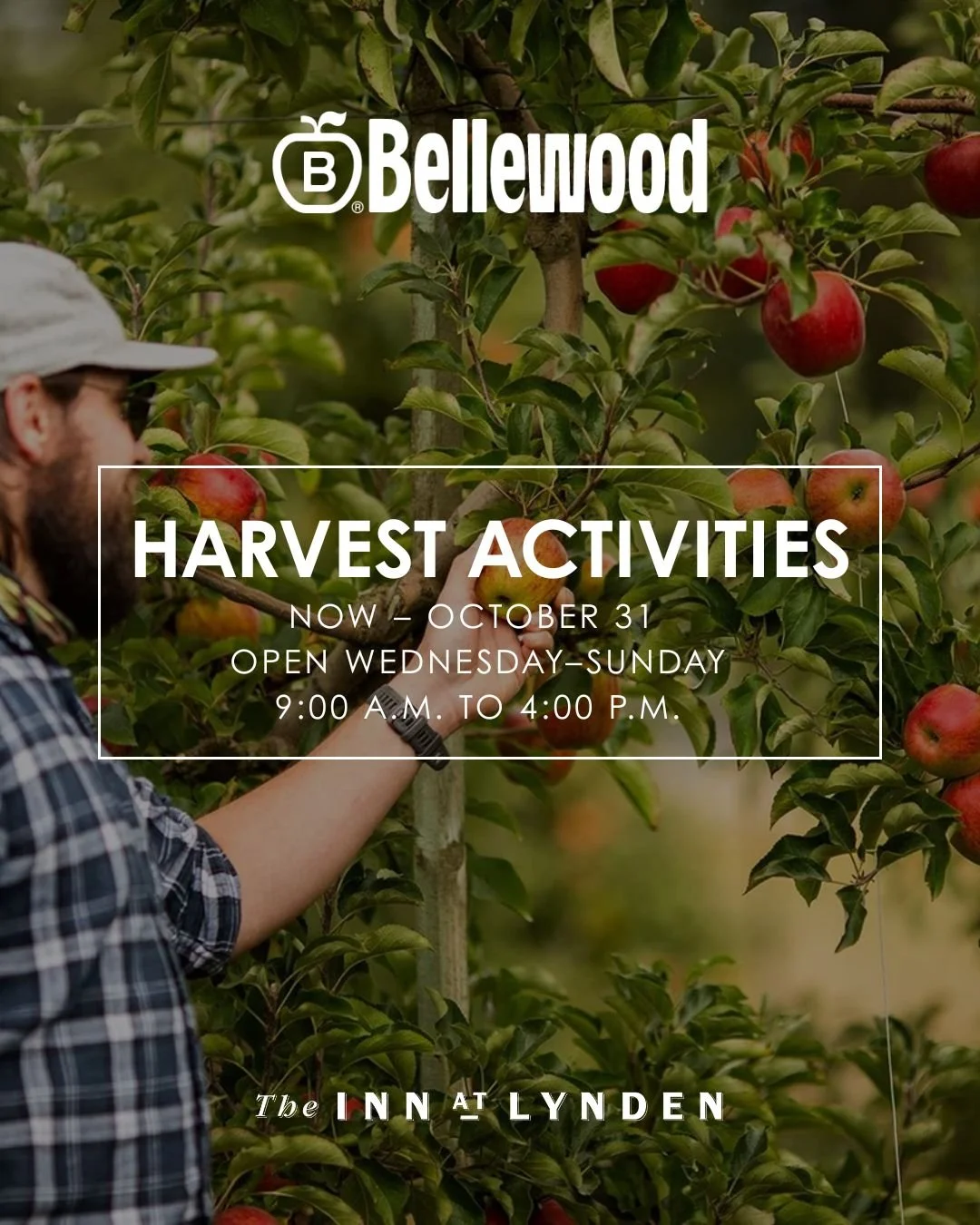 Don’t Worry, Be Apple-y!
Fall is in full swing, and so are the harvest happenings at Bellewood Farms, just a short drive from the Inn! From U-pick apples and Whatcom County’s largest pumpkin patch to a free community corn maze and more,