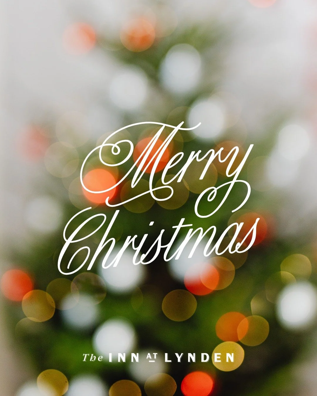 Happy Holidays!

Sending tree-mendous Christmas wishes your way.
May your day be filled with warmth, joy, and a little extra sparkle.