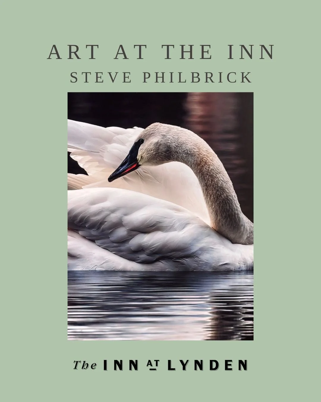 New Art, New Artist

We are excited to feature the work of local artist Steve Philbrick, now displayed throughout our public spaces through late March.

This rotating exhibition is presented in partnership with Jansen Art Center, and is open for ever