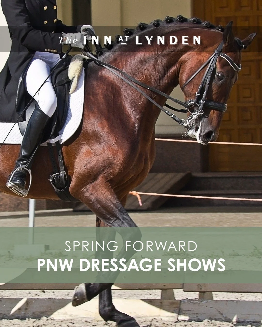 Horsing Around
The PNW Dressage Shows are cantering back into Lynden March 7-8, 2026, just a short trot from the Inn!

Hosted at the Northwest Washington Fairgrounds, these thoughtfully organized events celebrate the art of dressage with top-tier jud