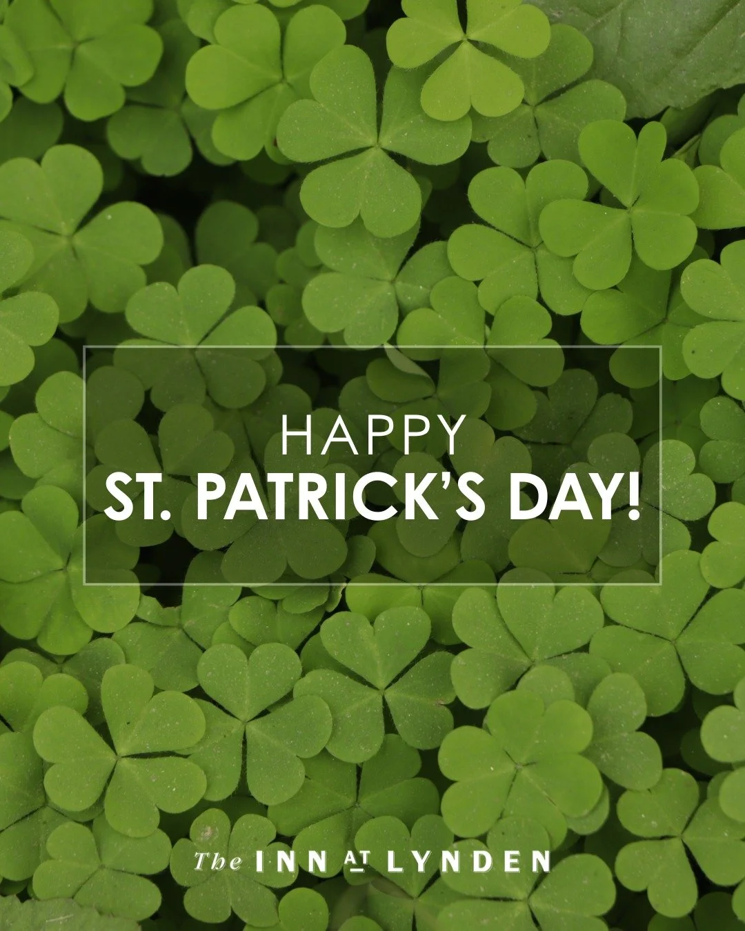 Shamrock and Roll!

Wishing you a Happy St. Patrick&rsquo;s Day from all of us at The Inn at Lynden. May your day be filled with a little luck and a lot of laughter.