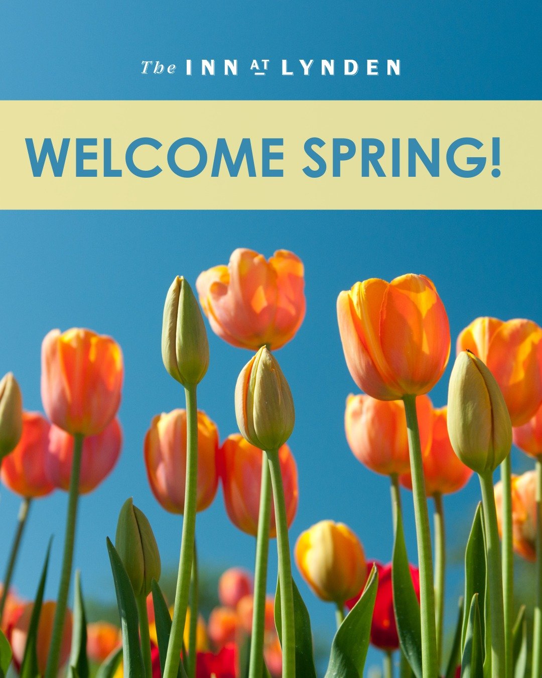 Spring Has Sprung!
Here&rsquo;s to warmer days, colorful flowers, and all the new adventures the season brings. Happy spring from The Inn at Lynden!

See link in bio to book your stay with us.
.
.
.
.

#TheInnAtLynden #InnatLynden #lyndenhotel #stayi