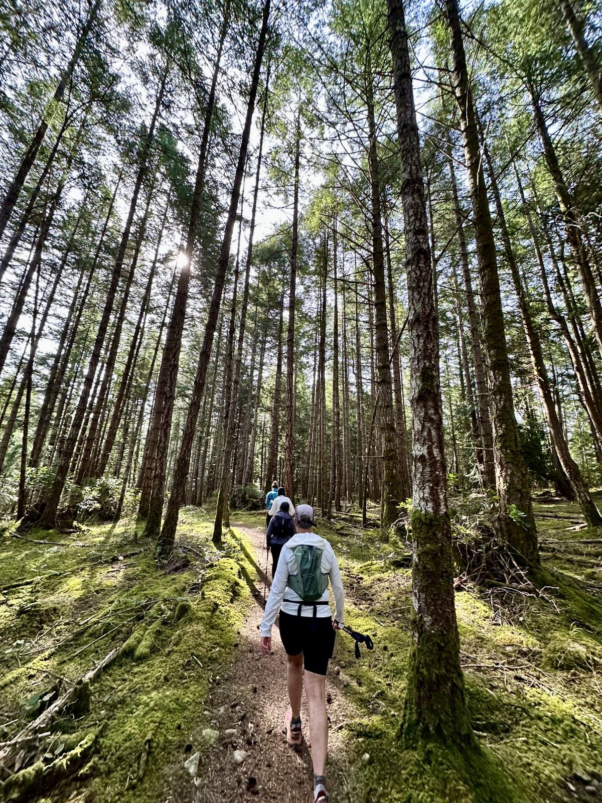 A group of midlife women hiking through a lush, mossy forest trail during a wellness retreat.