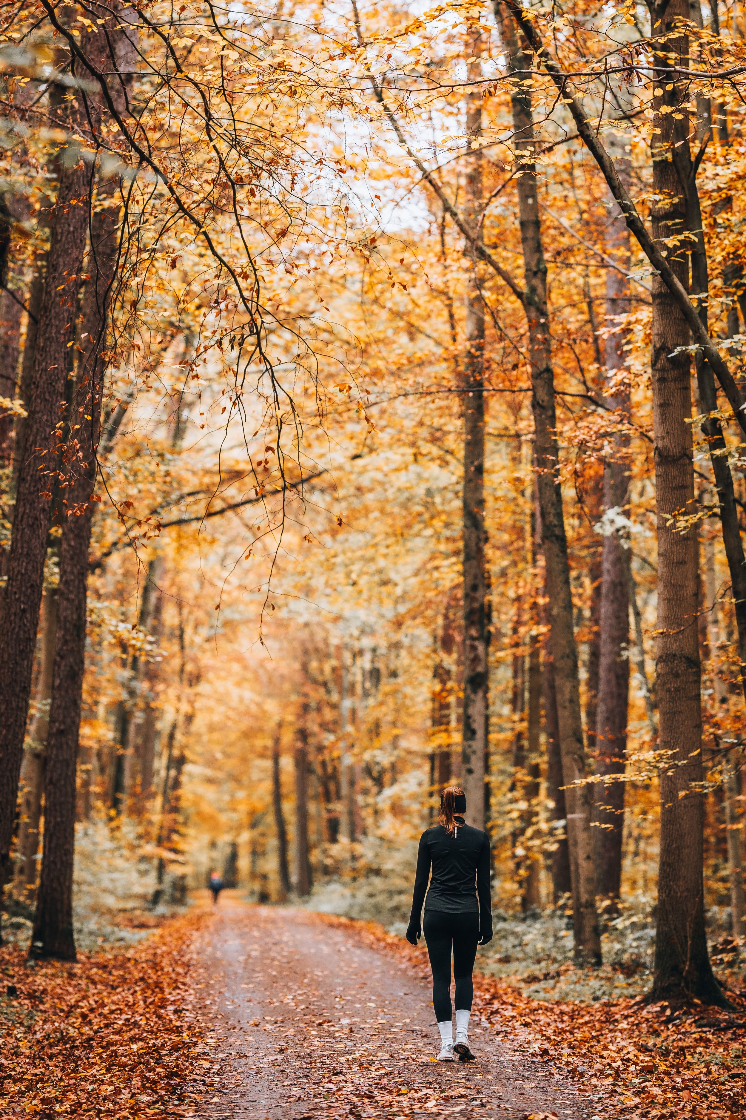 A woman taking a mindful walk through a sunlit forest trail.