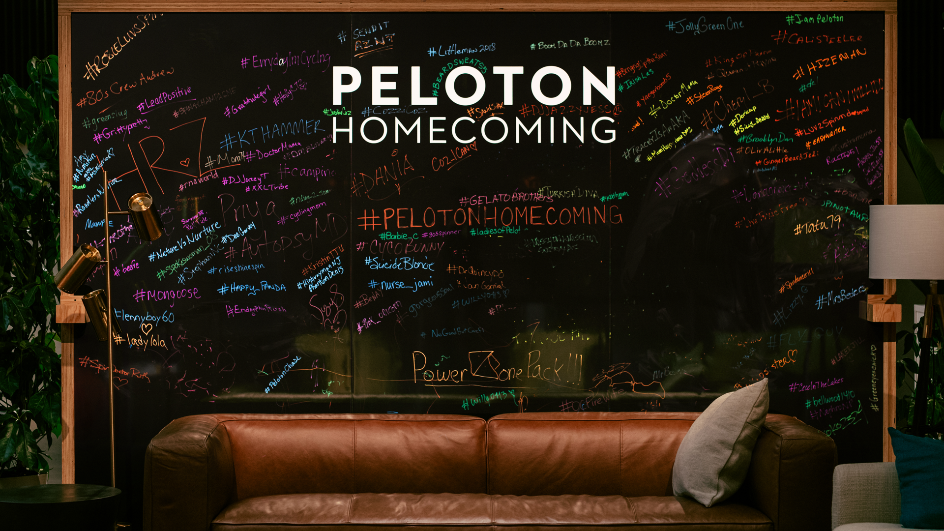 pelohc-35.png