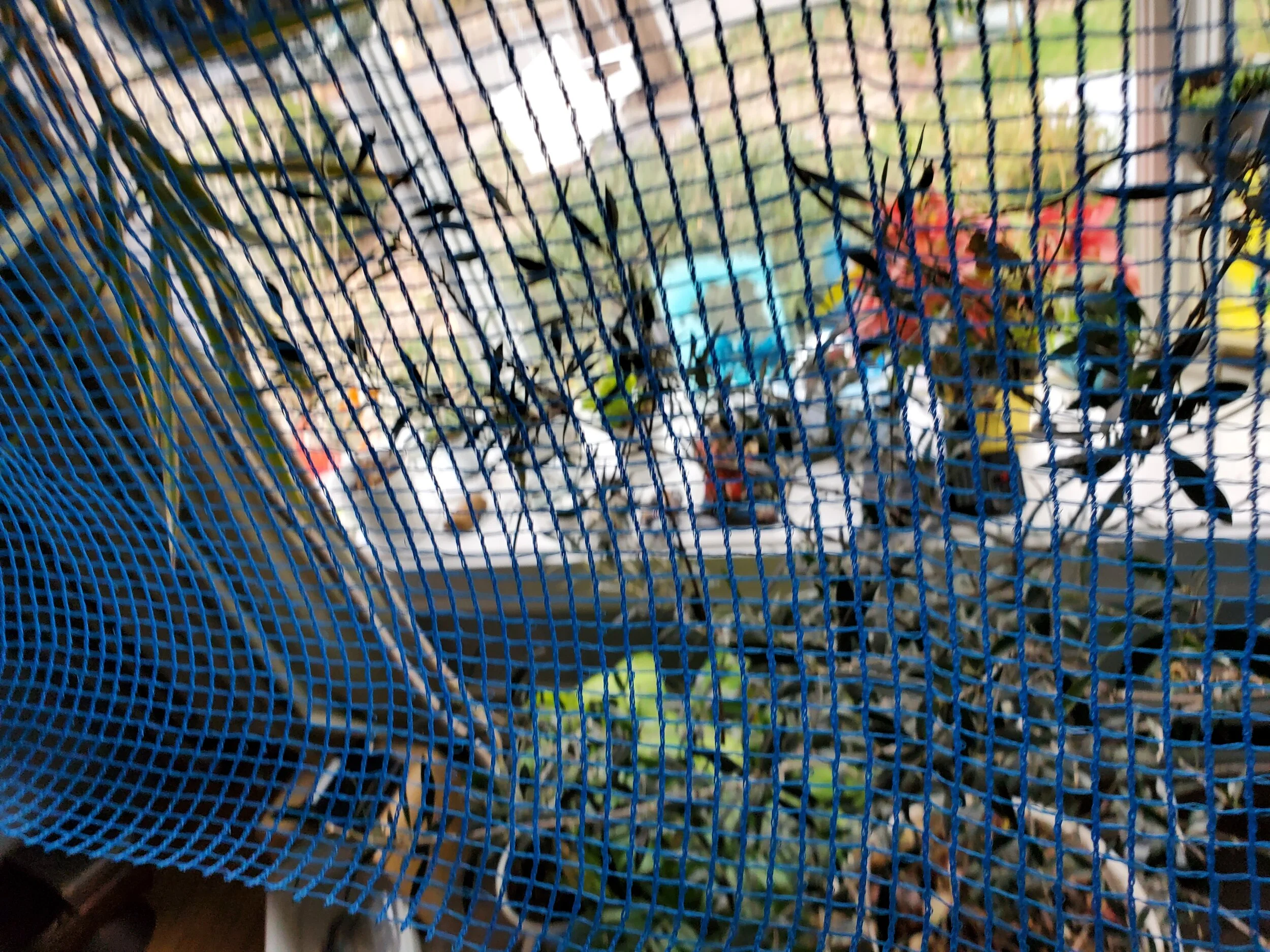 20210331_111245 (1).jpg