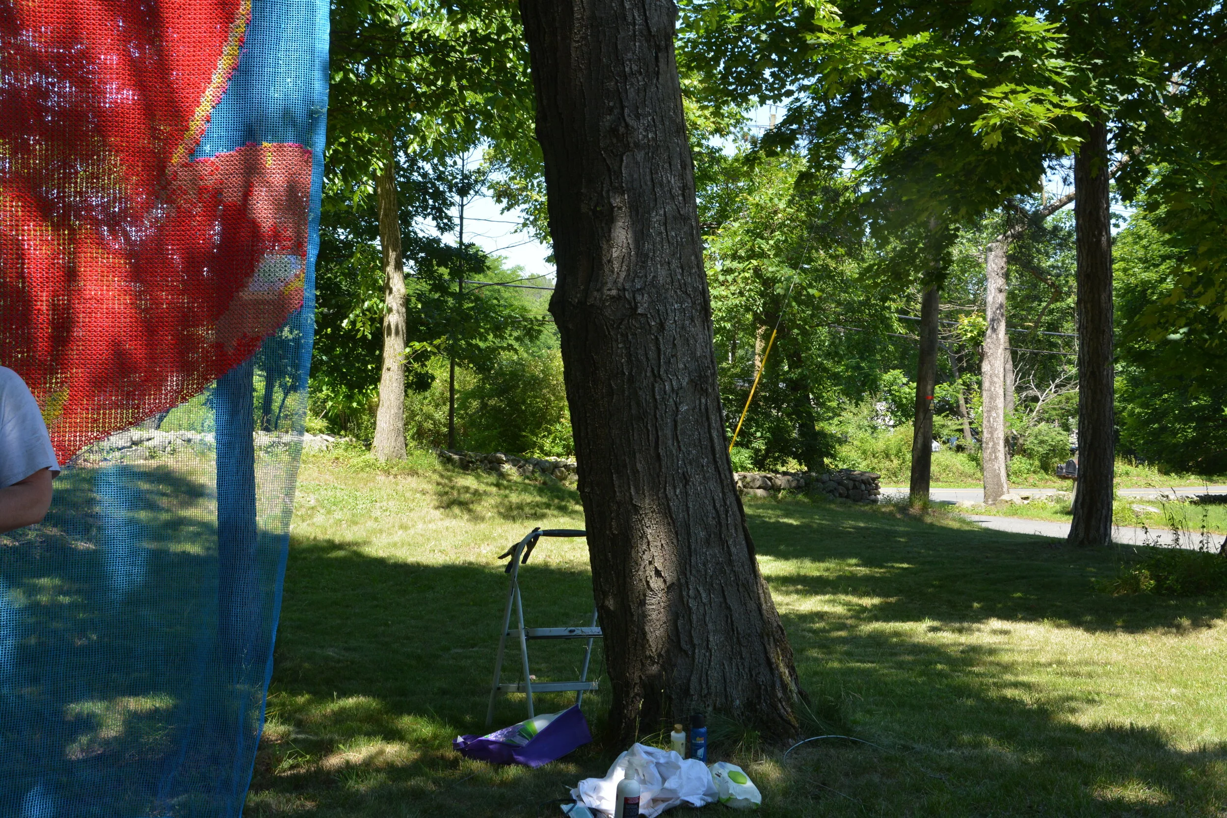 DSC_9480.JPG