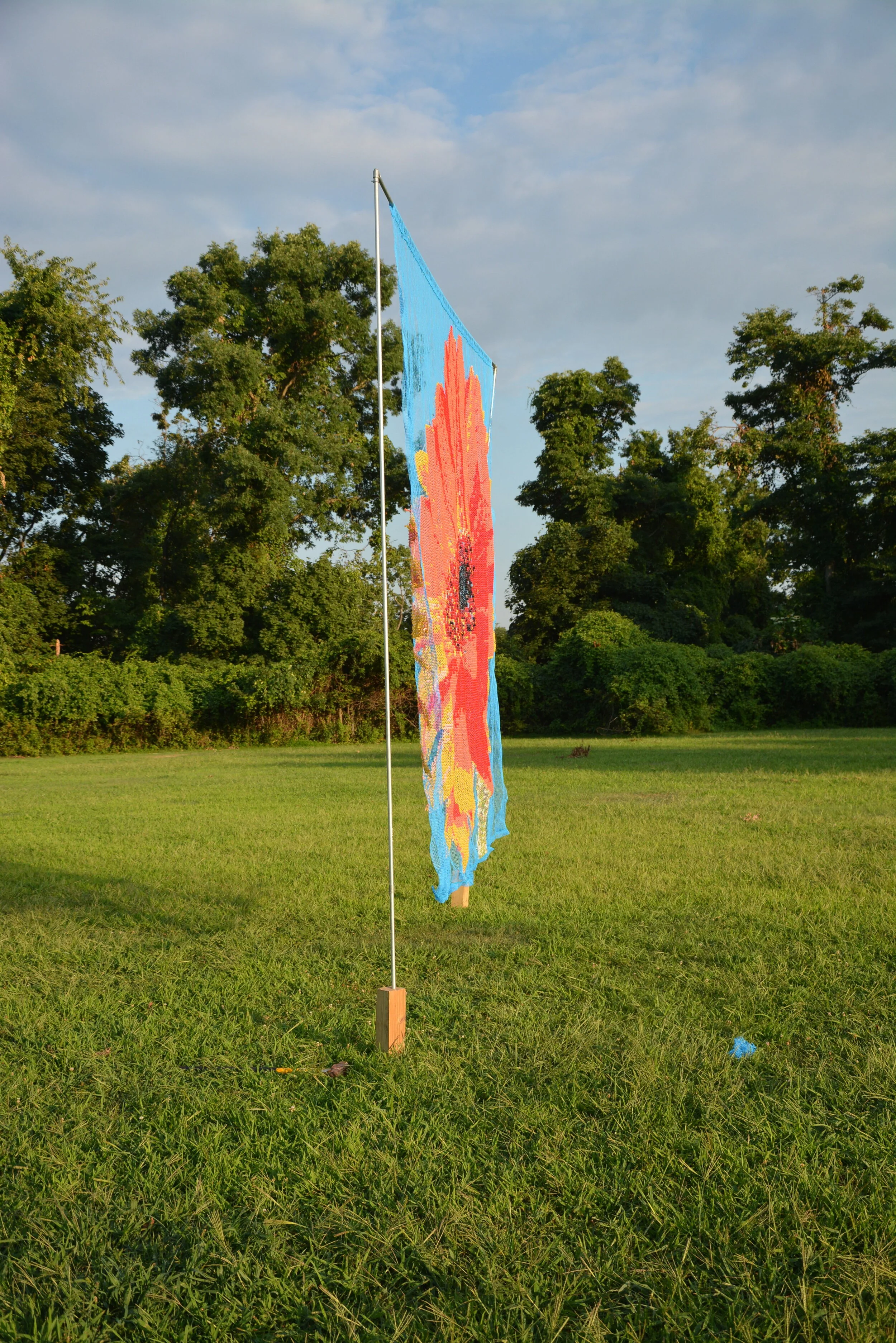 DSC_9488.JPG