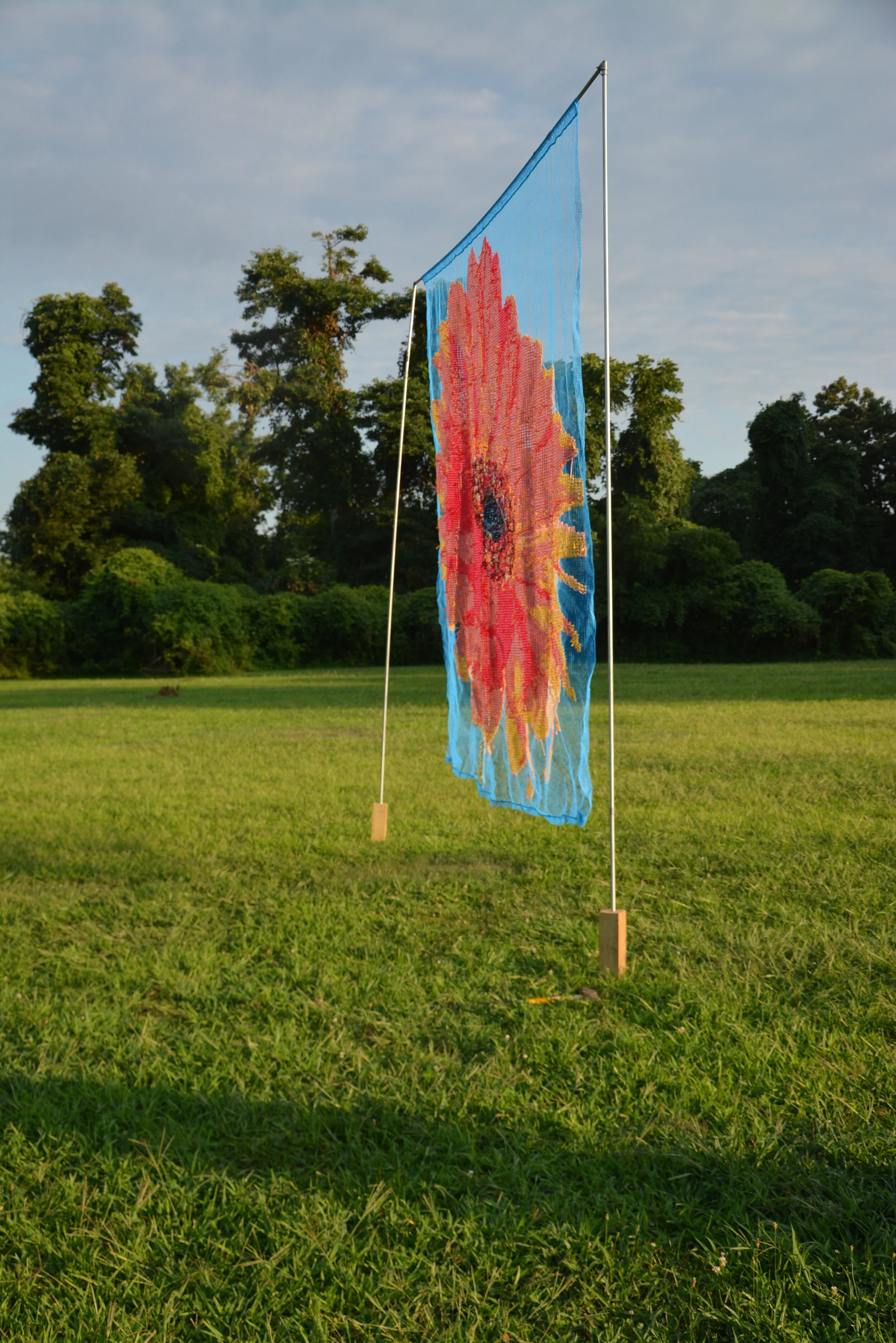 DSC_9489.JPG