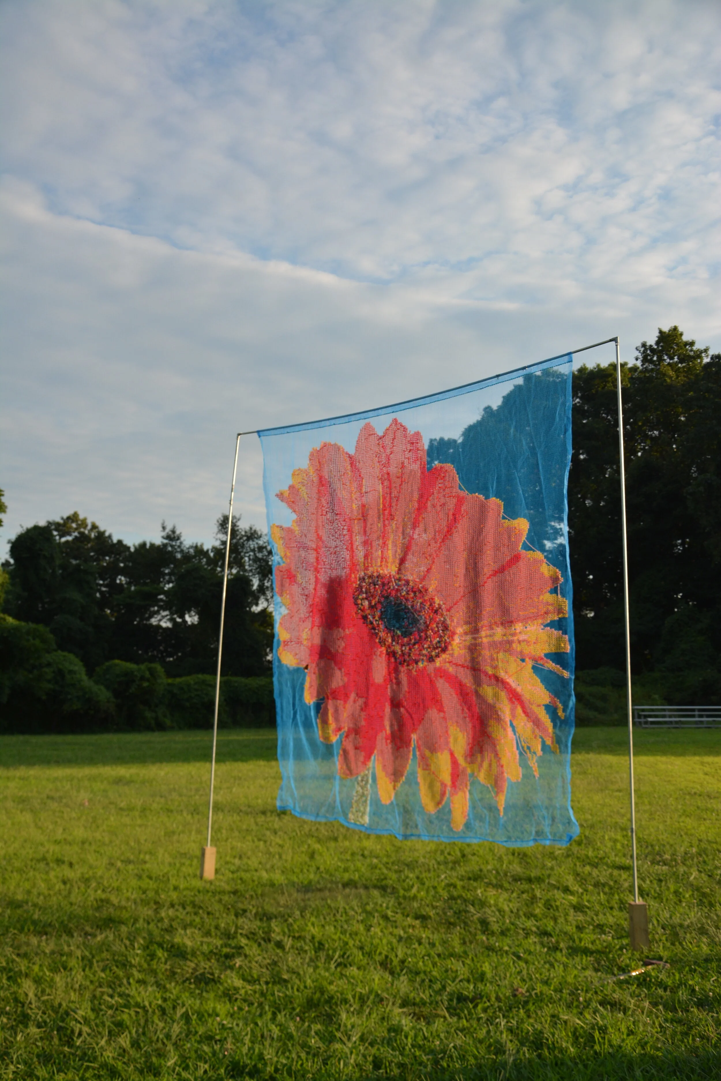 DSC_9492.JPG