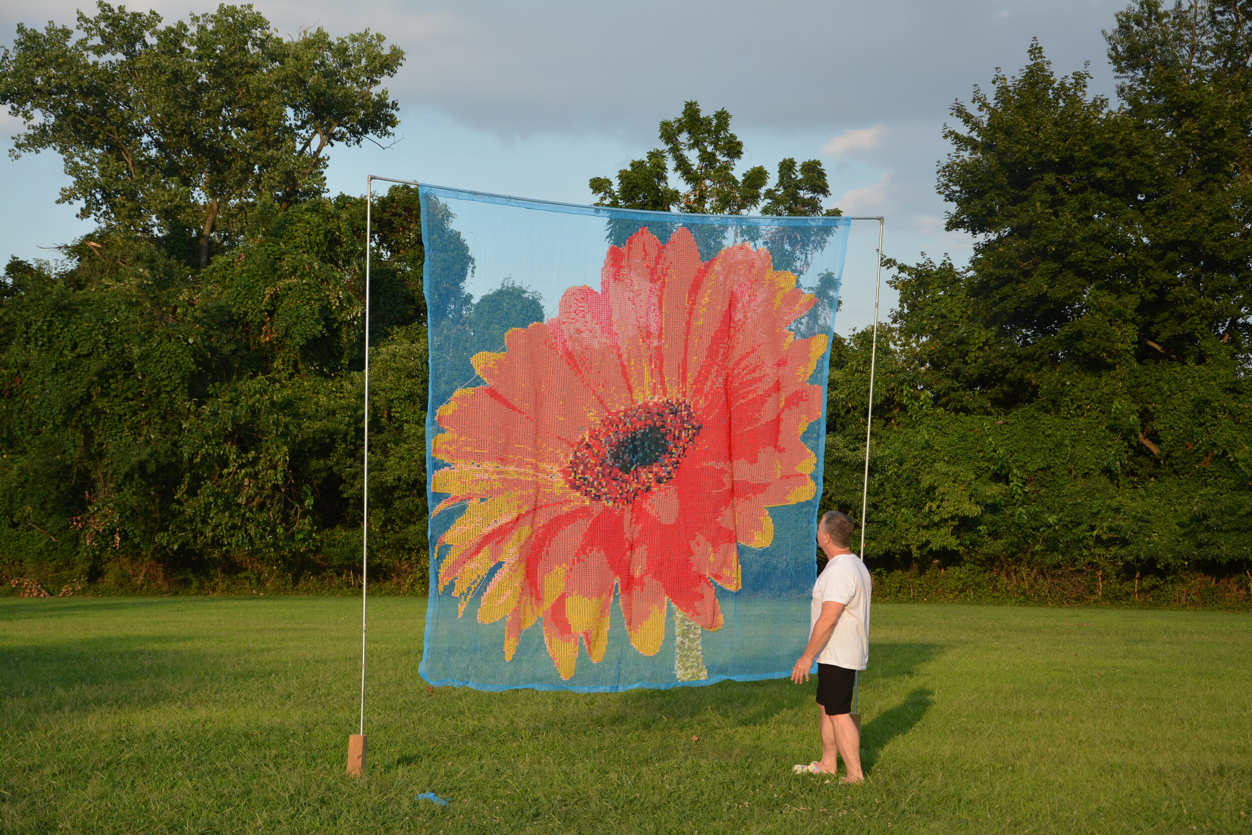 DSC_9519.JPG