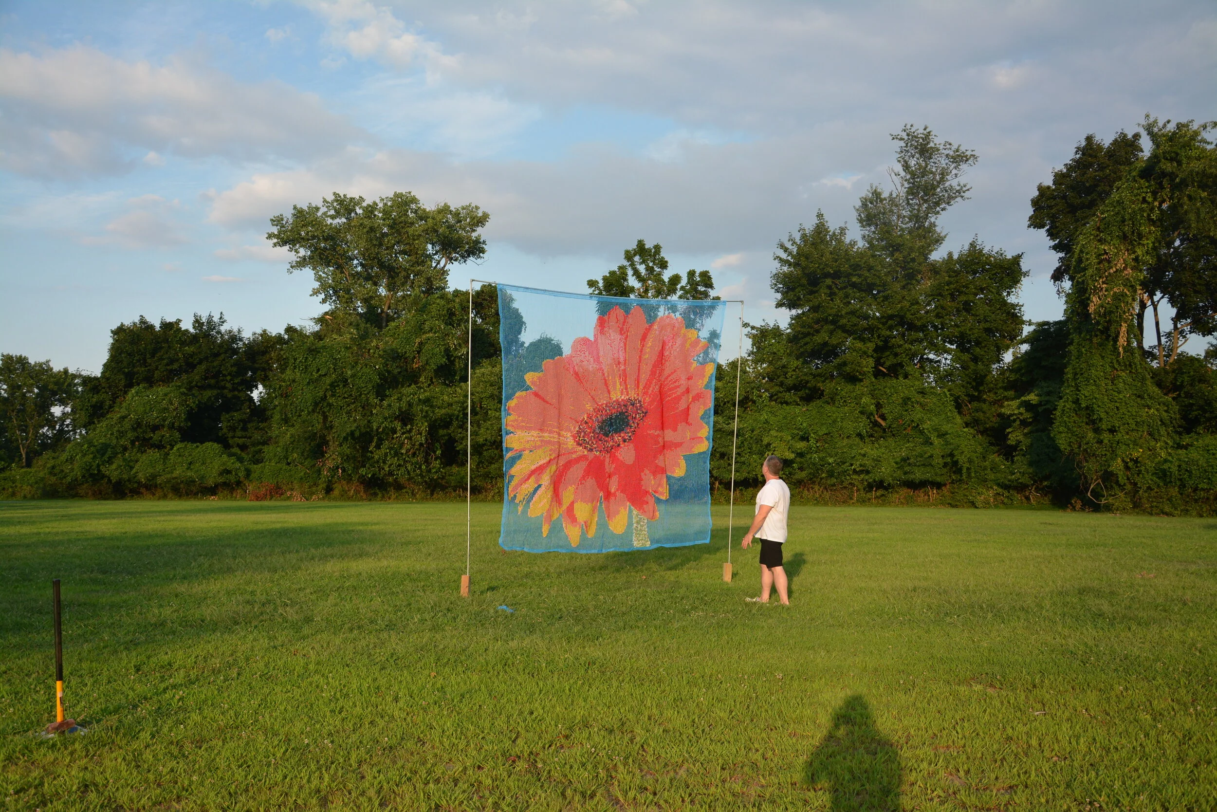 DSC_9520.JPG