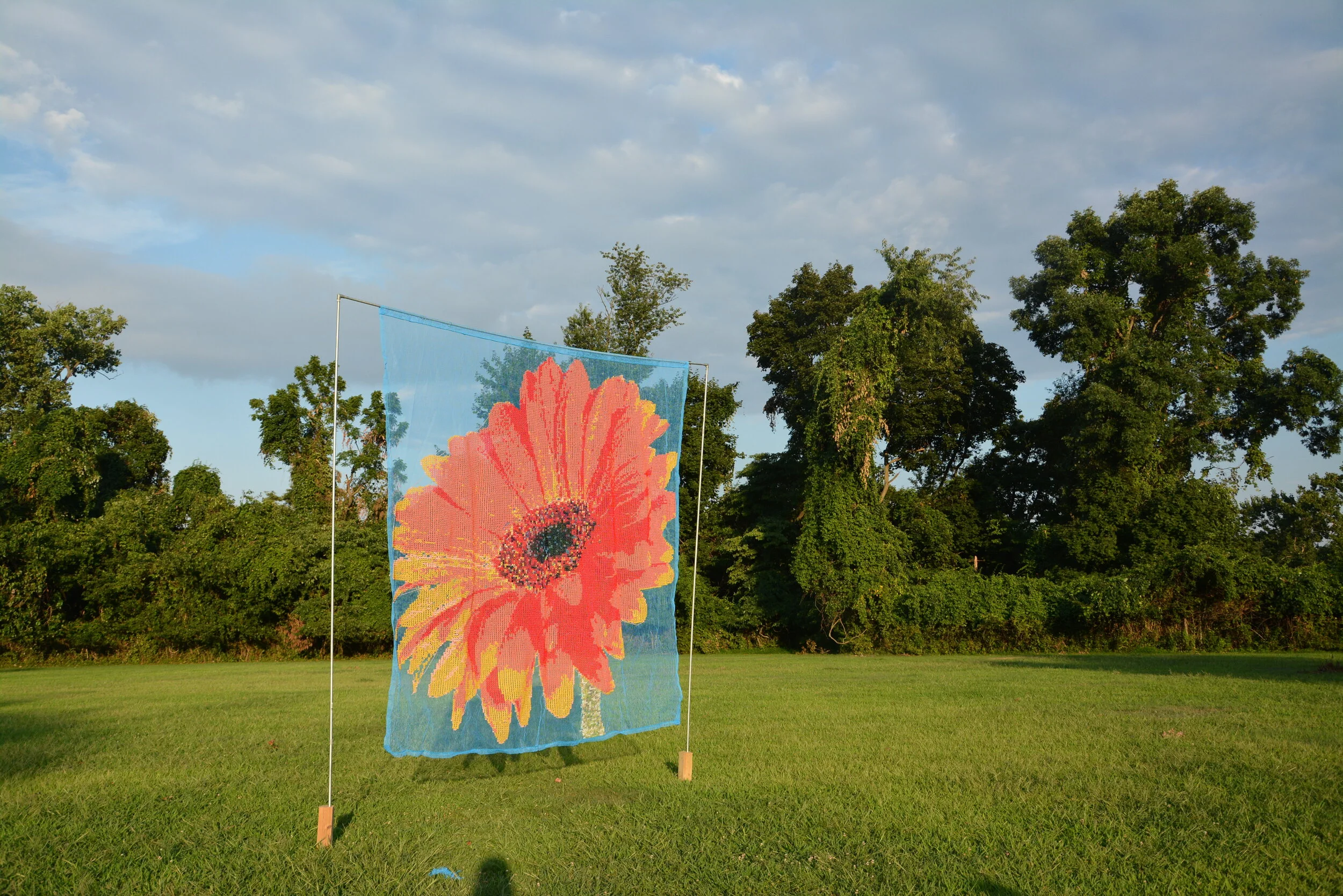 DSC_9533.JPG