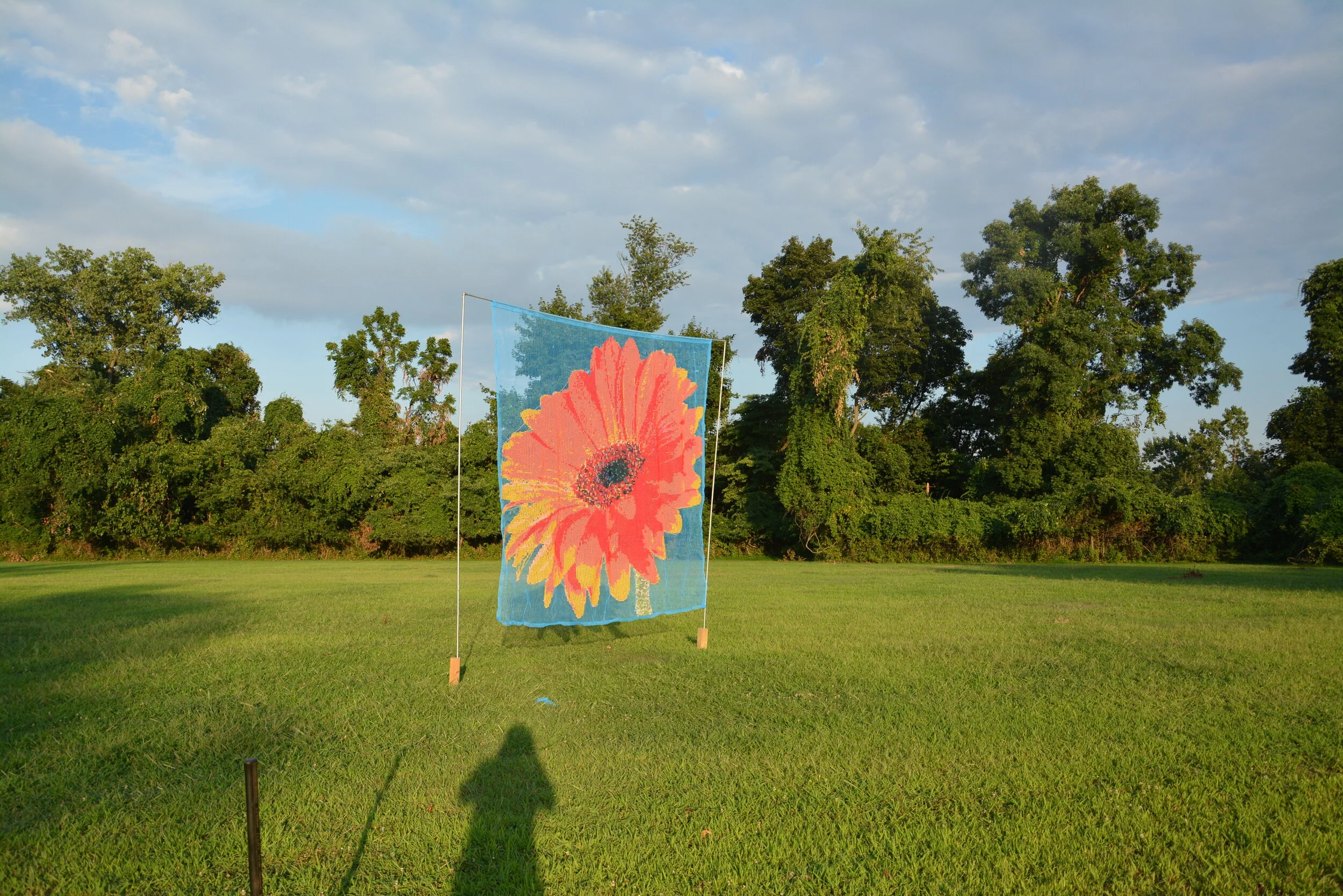 DSC_9535.JPG
