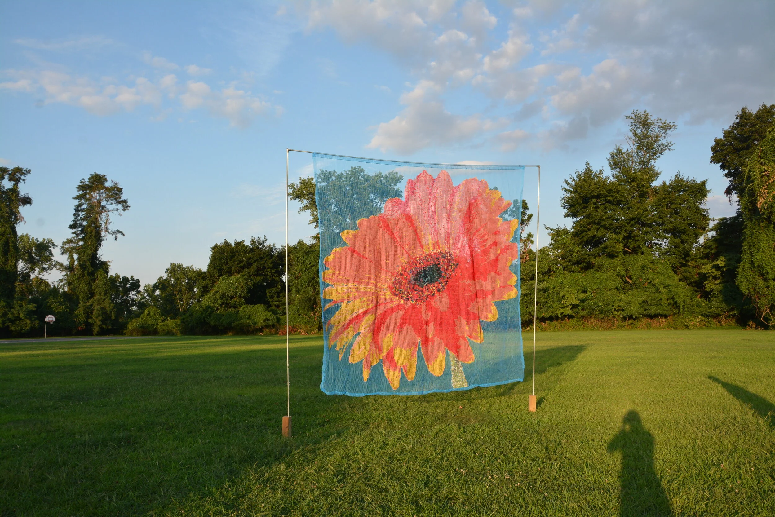 DSC_9587.JPG