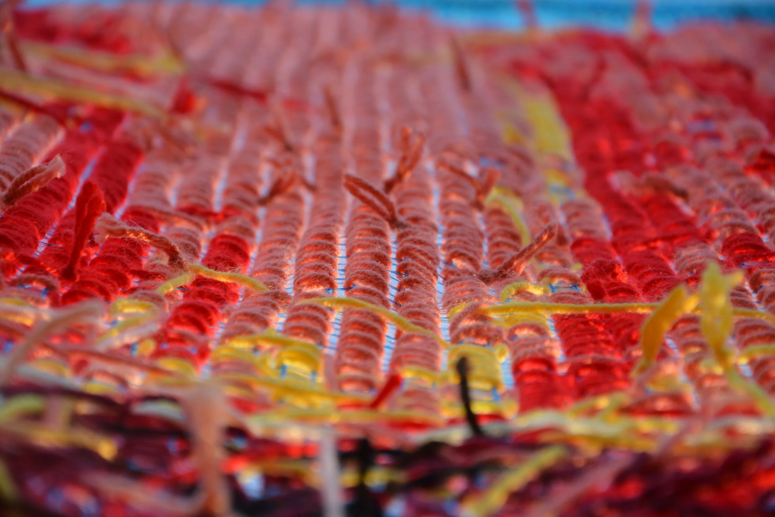 DSC_9599.JPG
