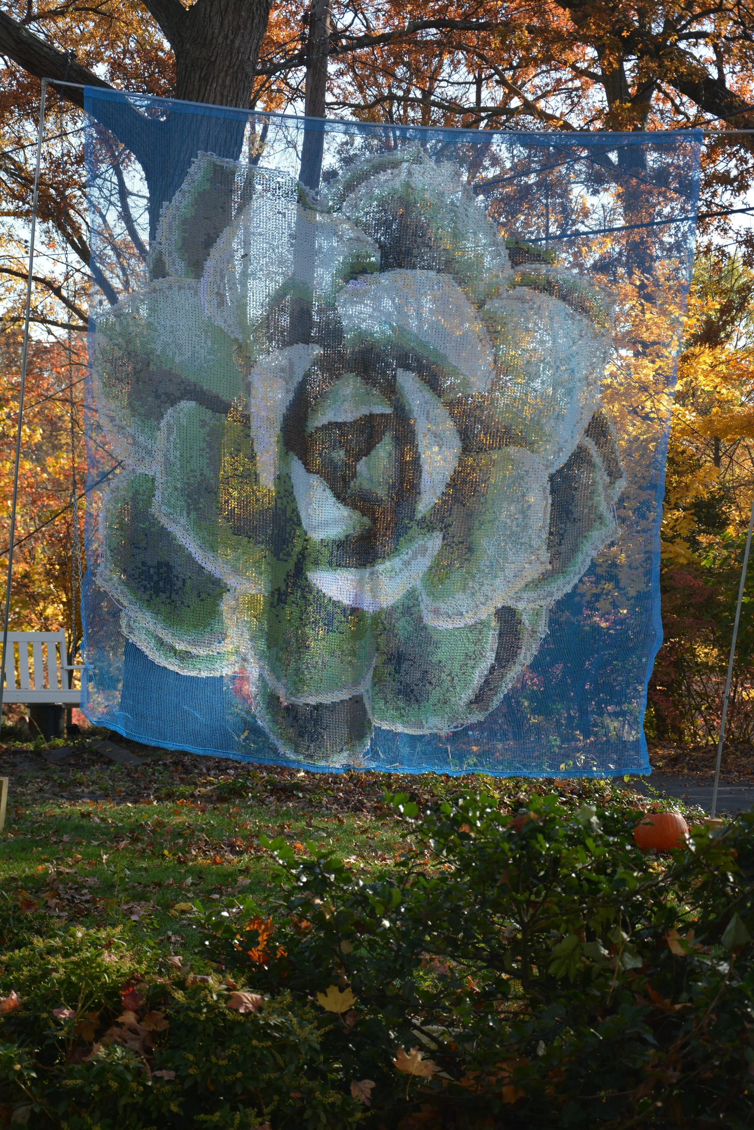 DSC_9698.JPG