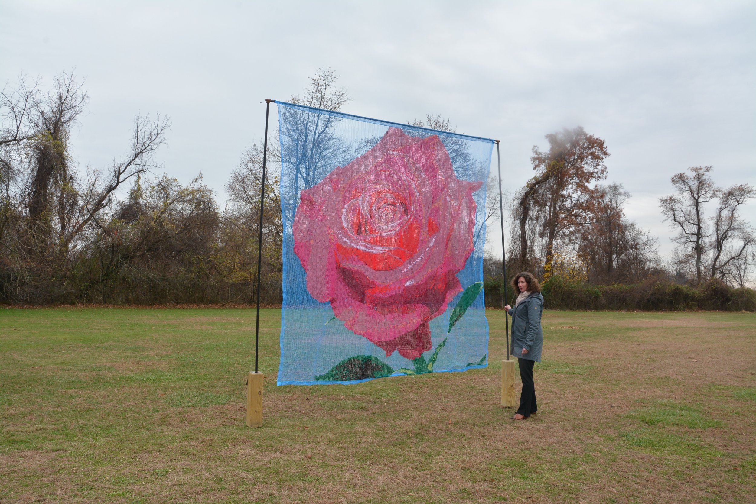 DSC_0474.JPG