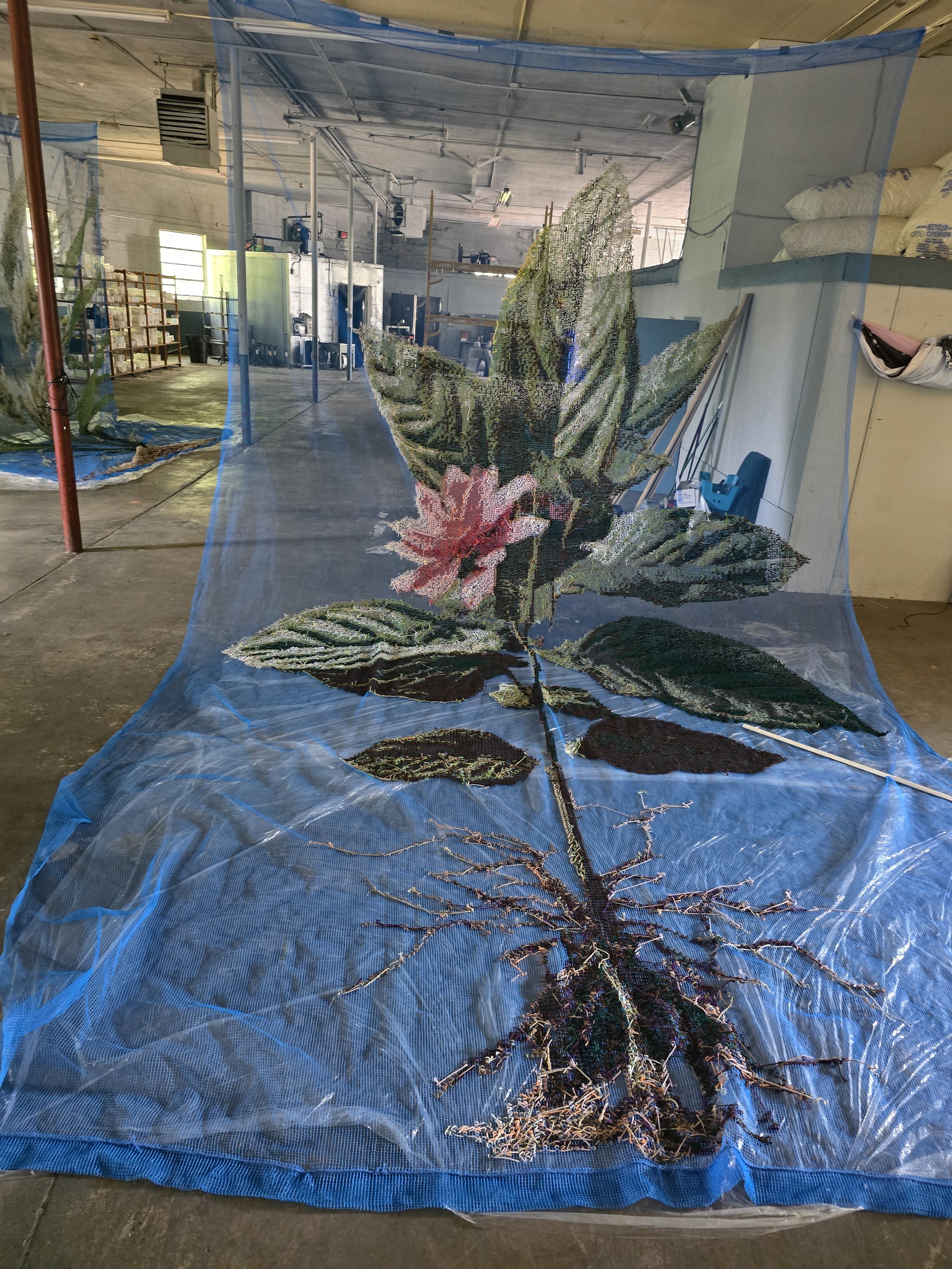 20250703_104653 (1).jpg