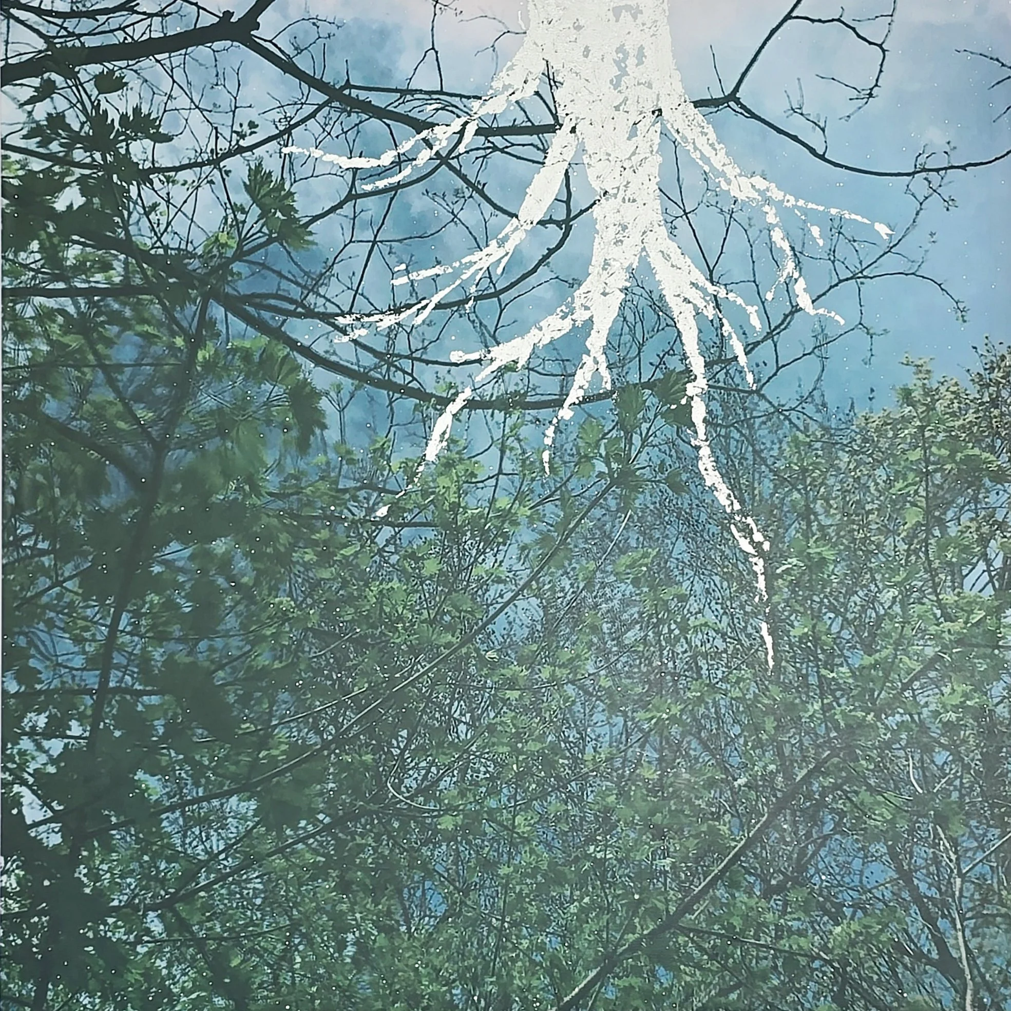 Avalone Stone Morning.jpg
