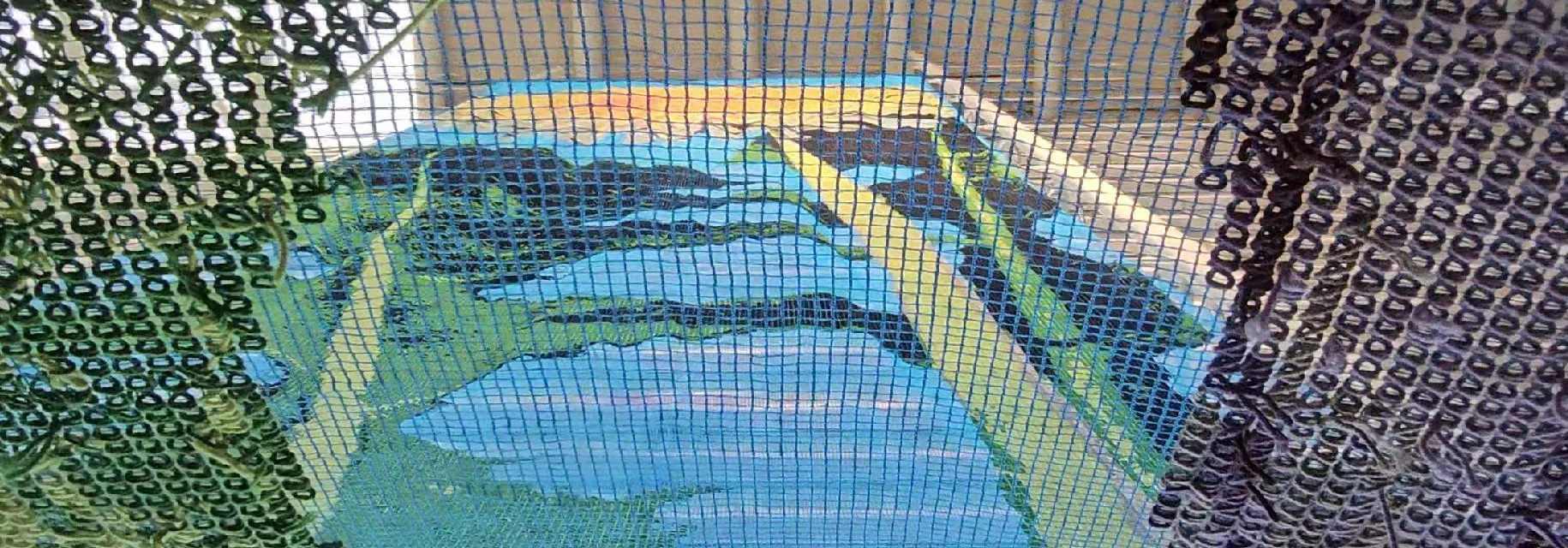 57 6.jpg