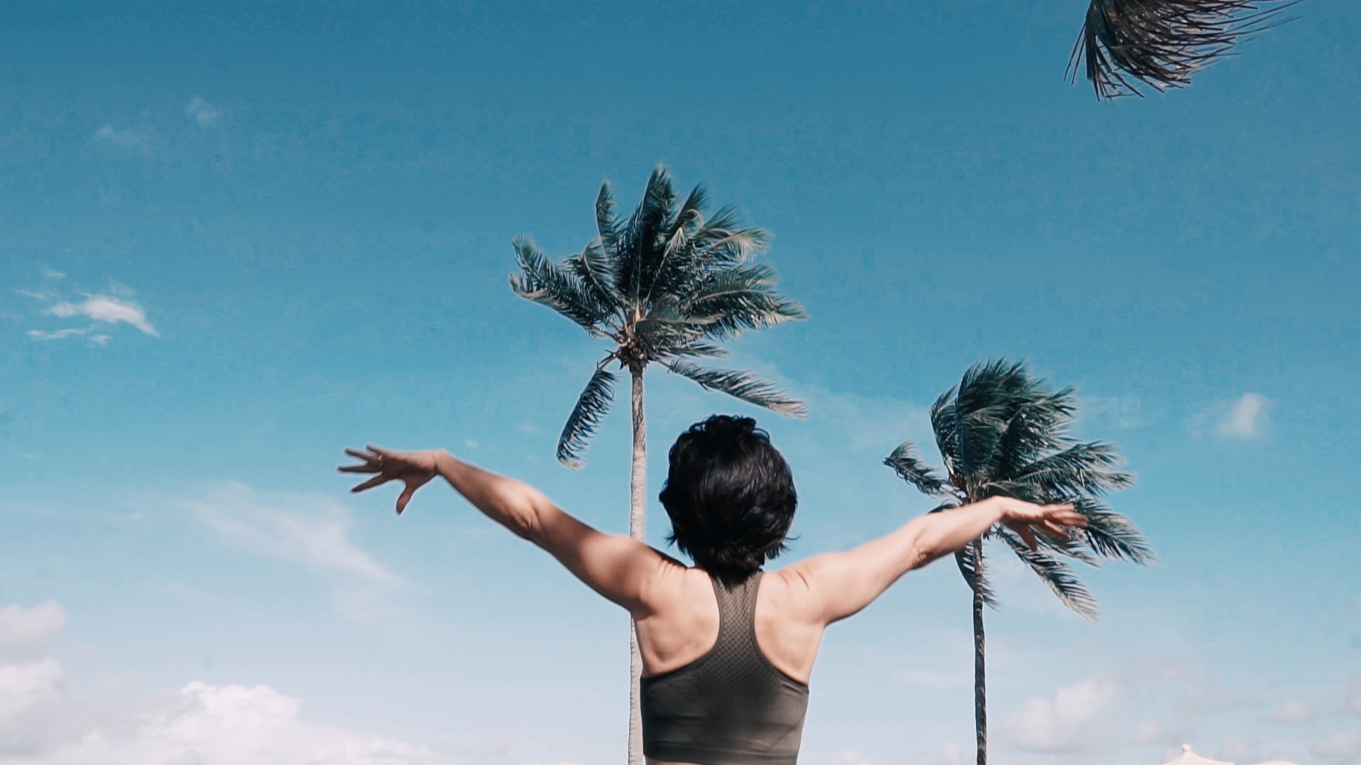 Screen Shot 2019-11-26 at 12.36.09 PM.png