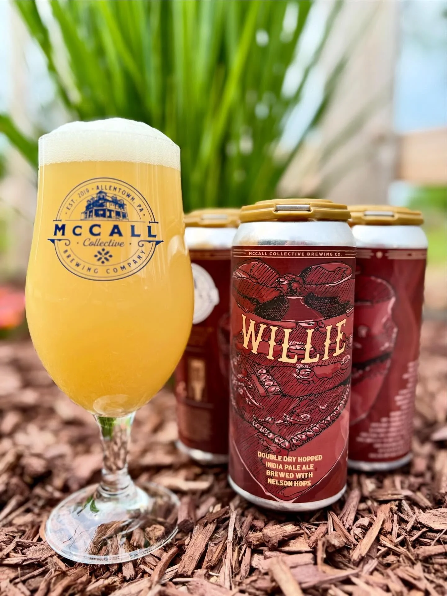 Guess who&rsquo;s back?
Willie - New England Style (hazy) India Pale Ale - 6.5% ABV
Brewed exclusively with Nelson Sauvin hops, this beer is jam-packed with notes of juicy ripe mango, gooseberry and white wine. 

Available NOW at BOTH spots in 4-pks 
