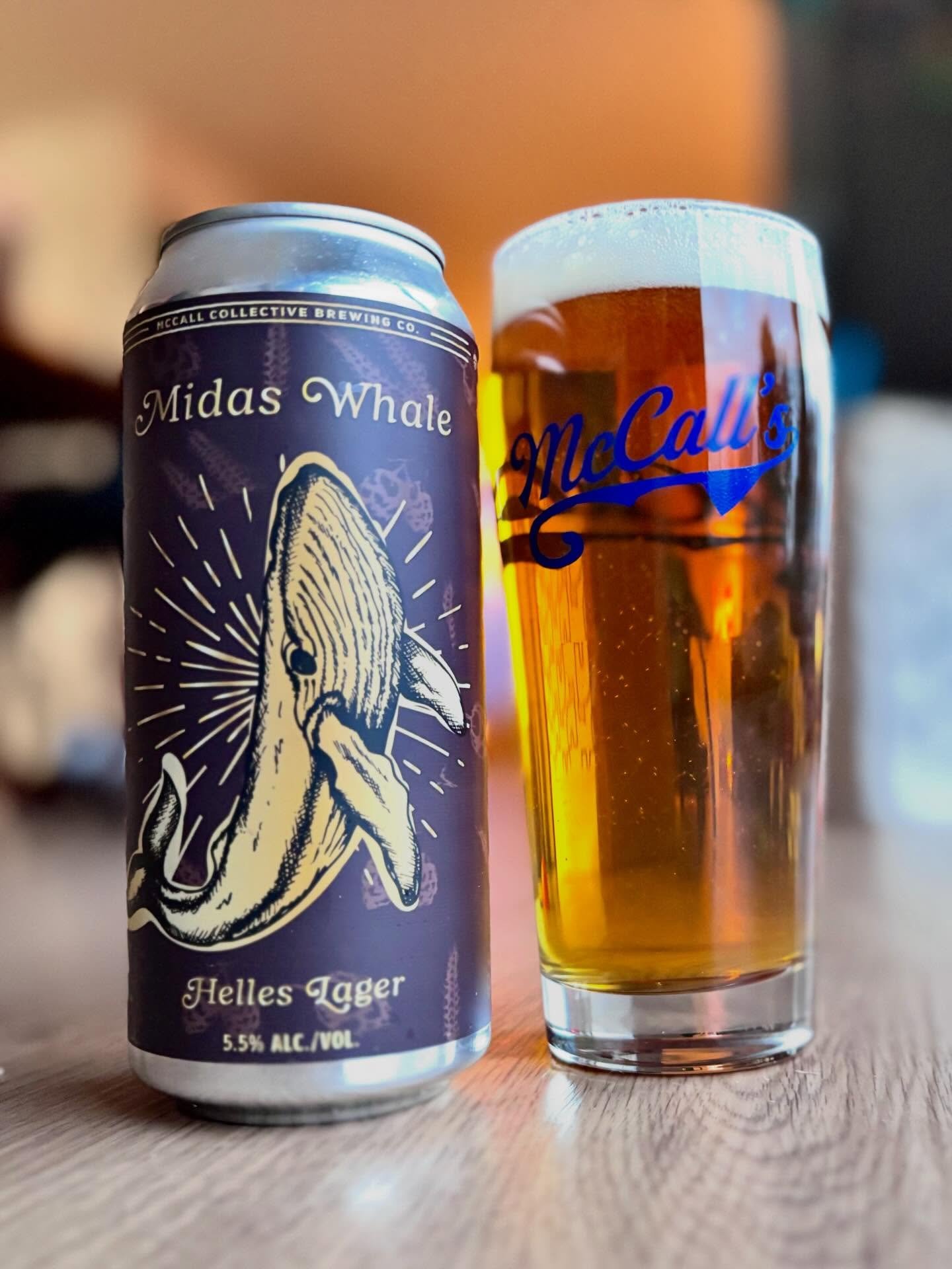 🌟 NEW 🌟 
Midas Whale - Helles - 5.5% ABV

Why swim against the current when you Midas Whale dive in?
This bright, golden Helles is brewed with a treasure chest of Pilsner, Carahell , and Munich malts, delivering a smooth, sunlit malt character wort