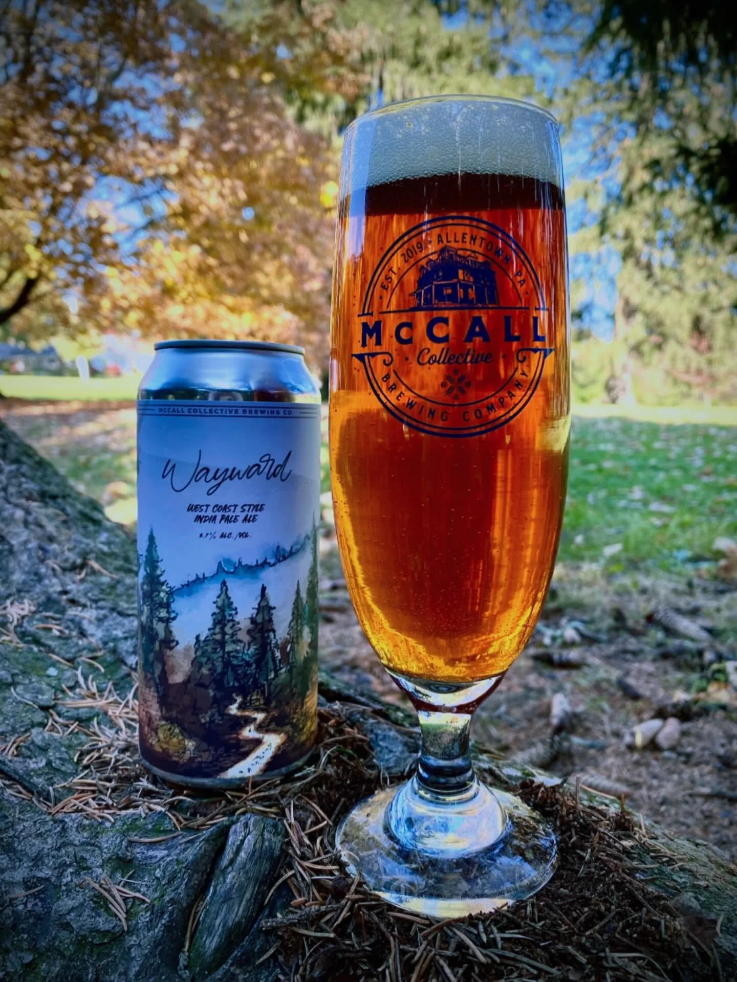 Wayward 🍻 
Our award-winning filtered west coast style IPA is BACK! Sitting at 69 IBU&rsquo;s (nice) this beer provides a perfectly refreshingly bitter bite. Notes of grapefruit and lemon zest. 5.7%

Available in cans BOTH locations!