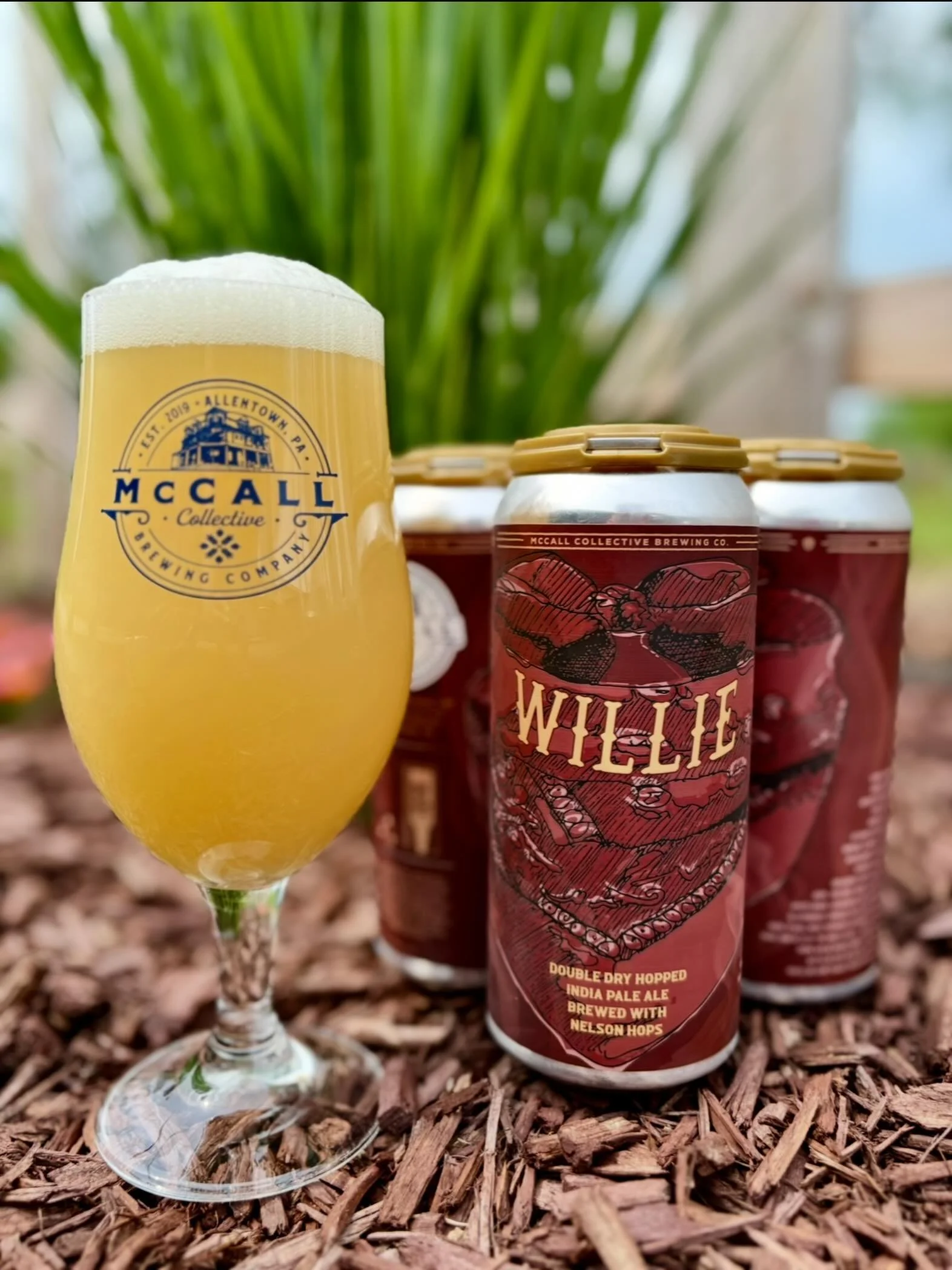 Guess who&rsquo;s back?! Willie is back!

Willie - 6.5% ABV Single hop hazy NE IPA

Hopped exclusively with Nelson Sauvin hops, this beer shines with aromas and flavors of white wine, gooseberry and mango and is extremely complex for a single hopped 
