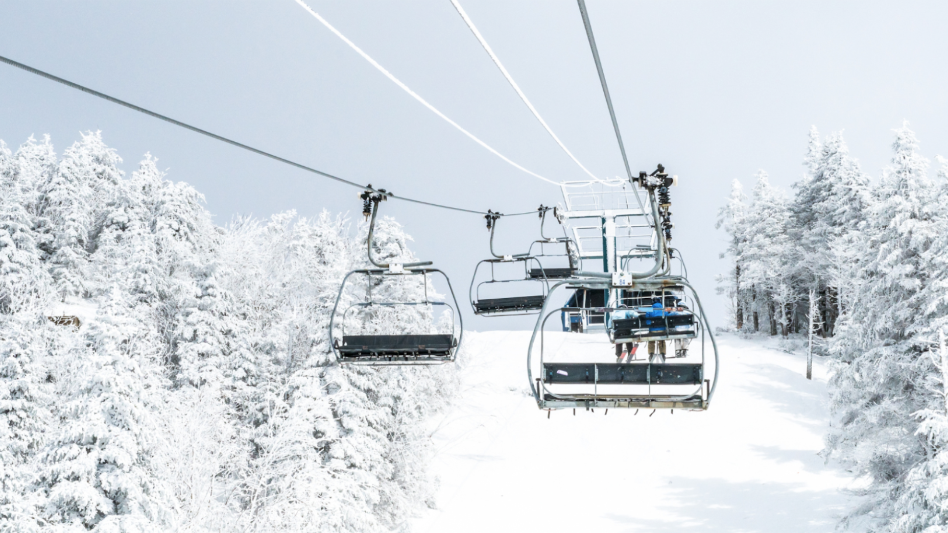 The History of Skiing in Jackson Hole: Legendary Resorts in the Tetons