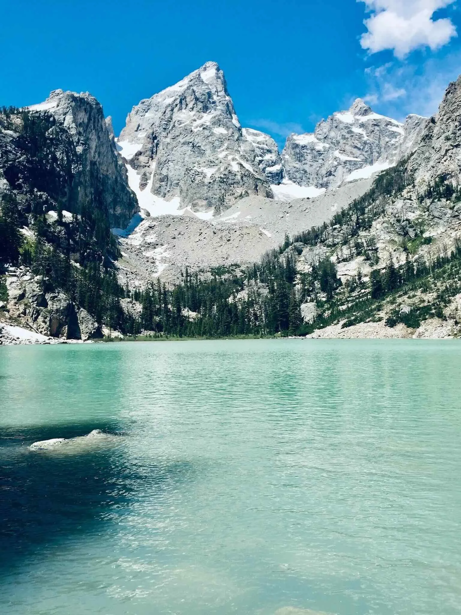 The Conservation History Of Jackson Hole, Wyoming