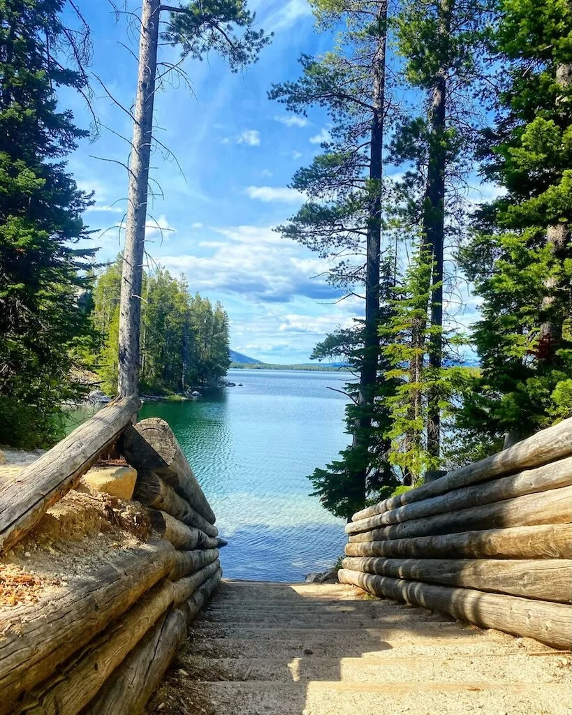 The Value of Employing a Luxury Real Estate Agent in Jackson Hole, Wyoming