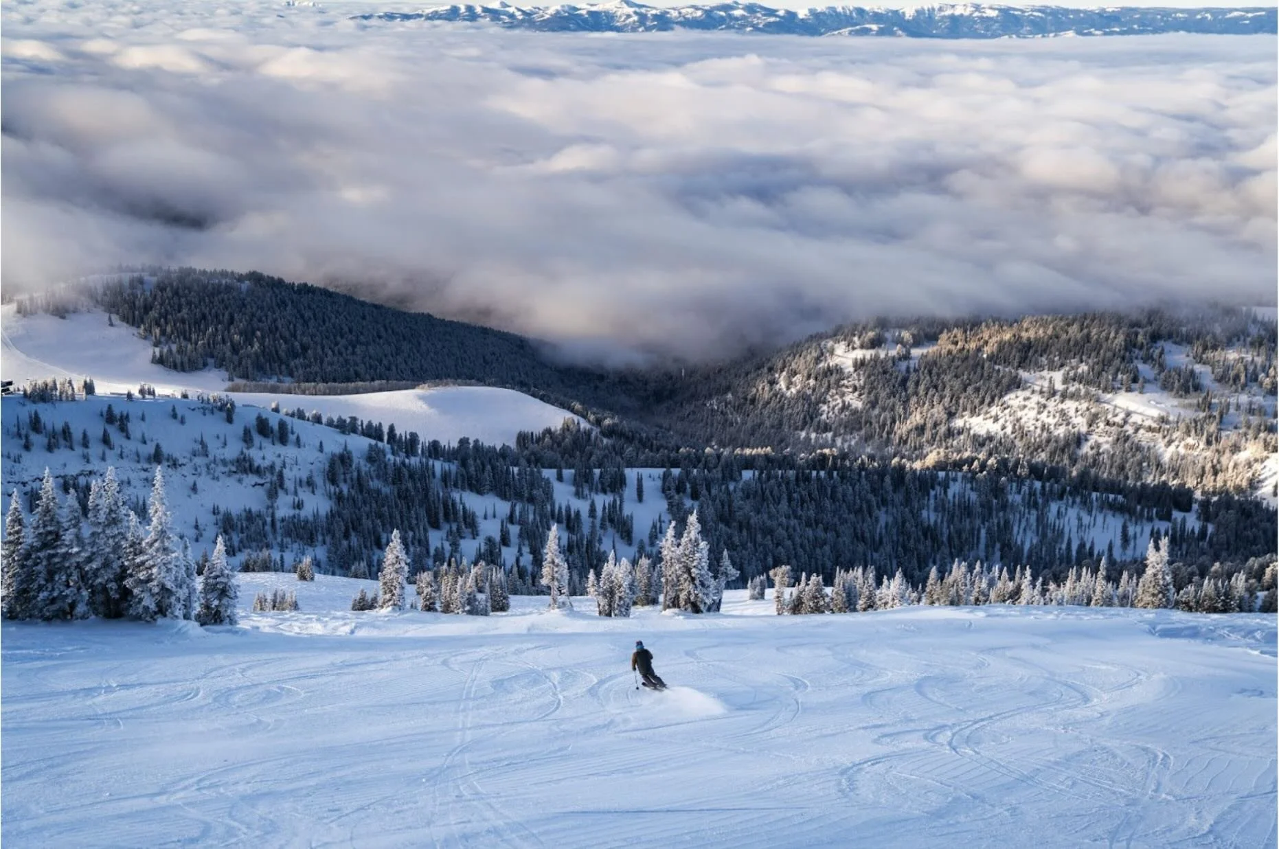 Skier skiing down mountain