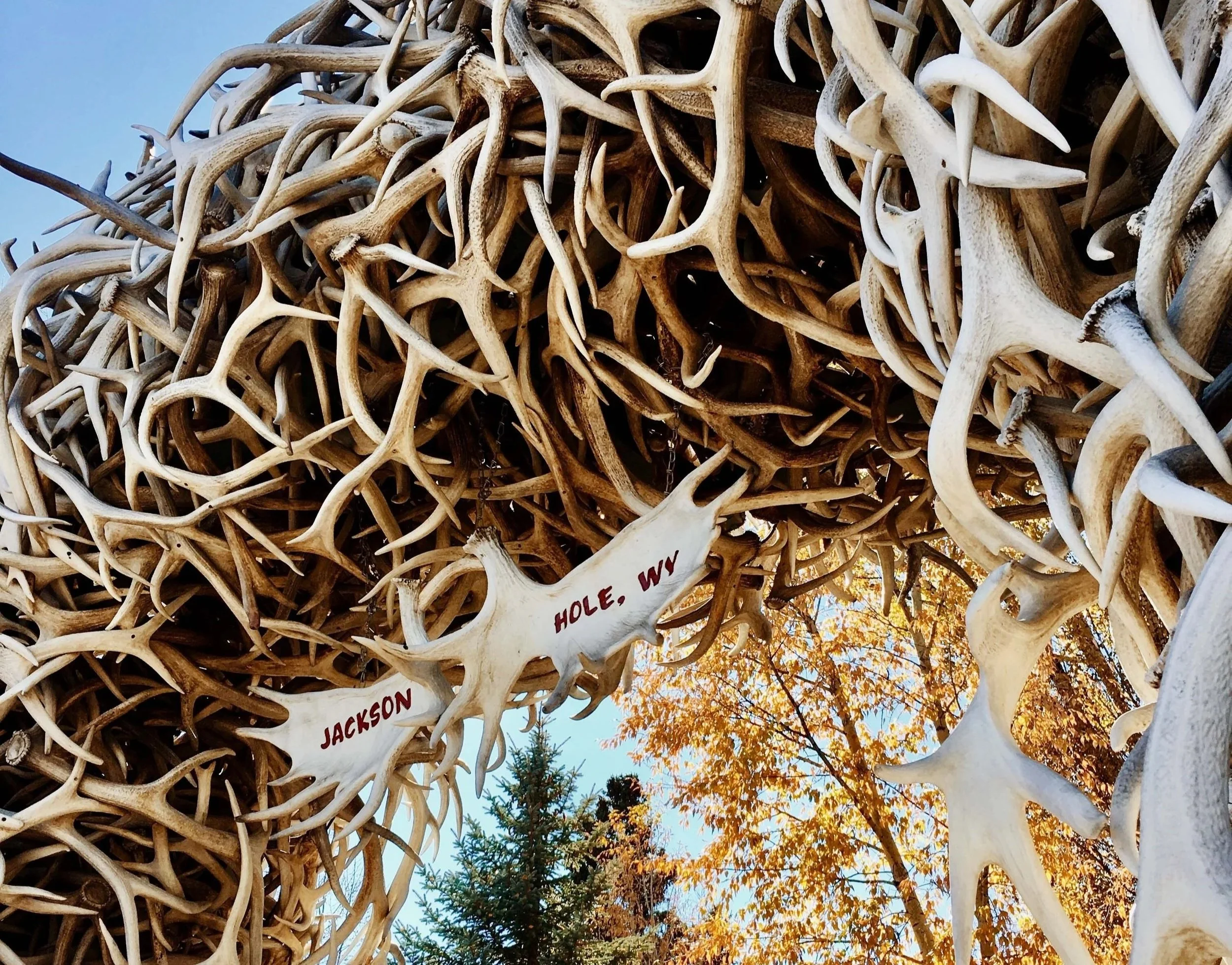 antler arches in downtown jackson hole