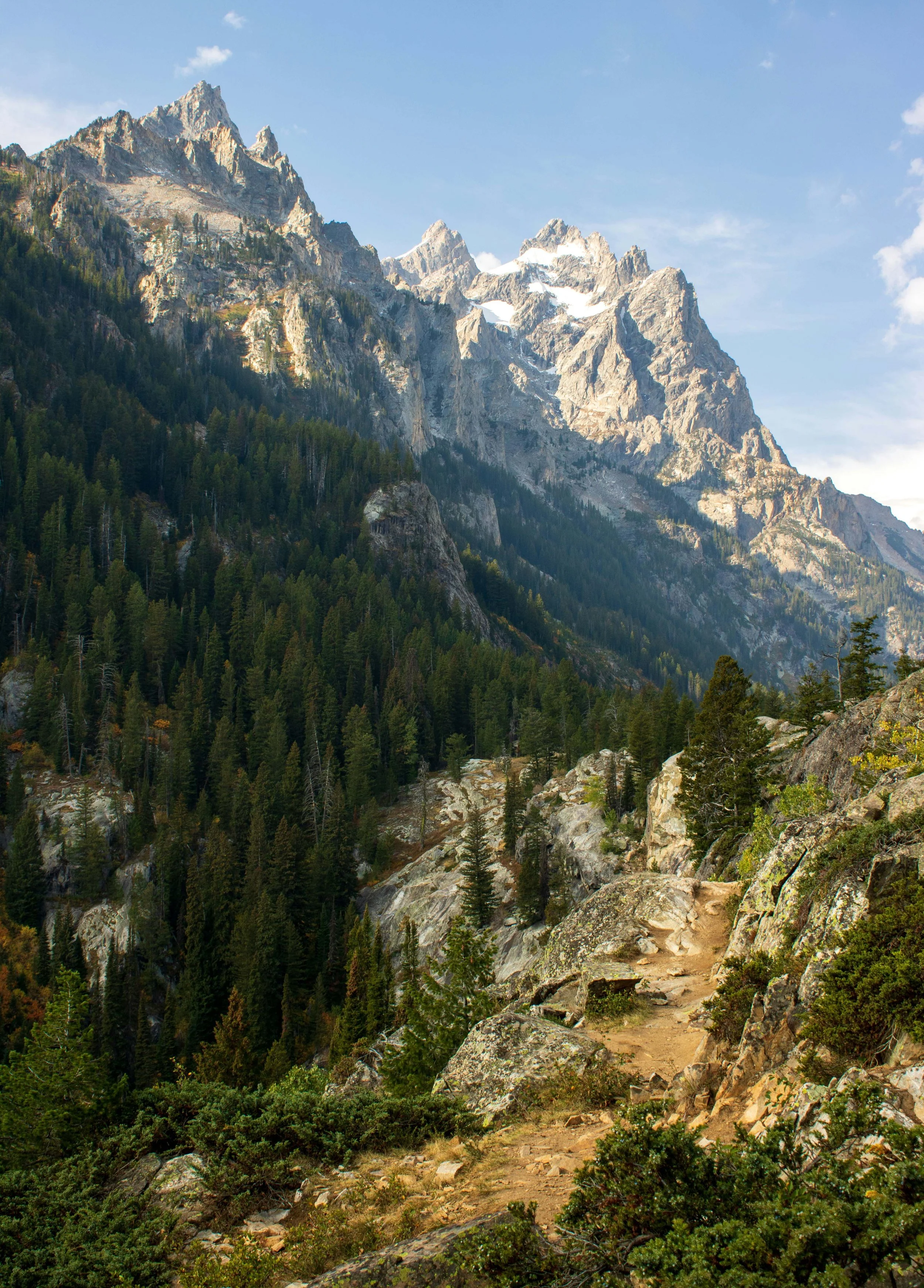 Hiking trail in the Tetons