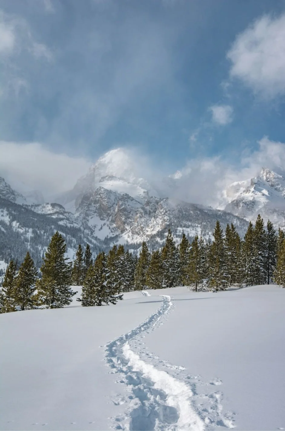 Path in snow with mountains in the background