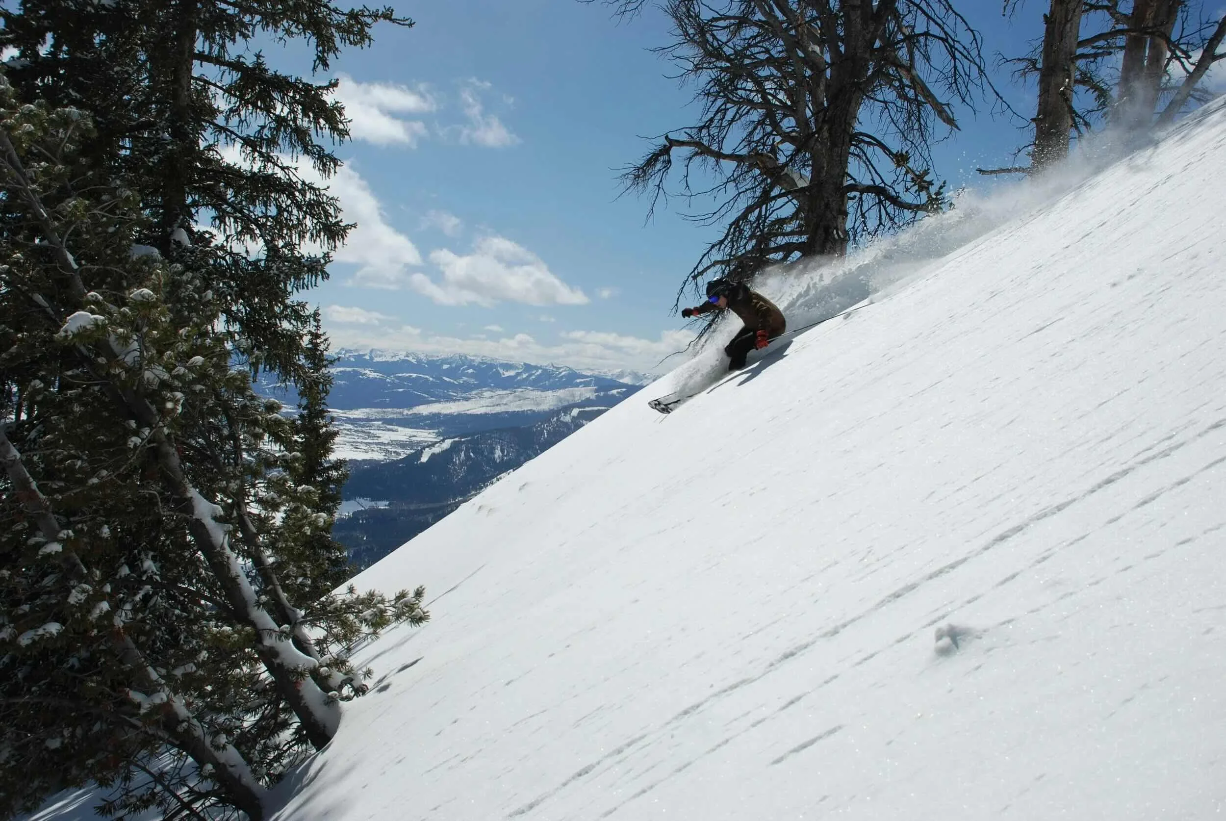 Skier skiing down mountain slope.