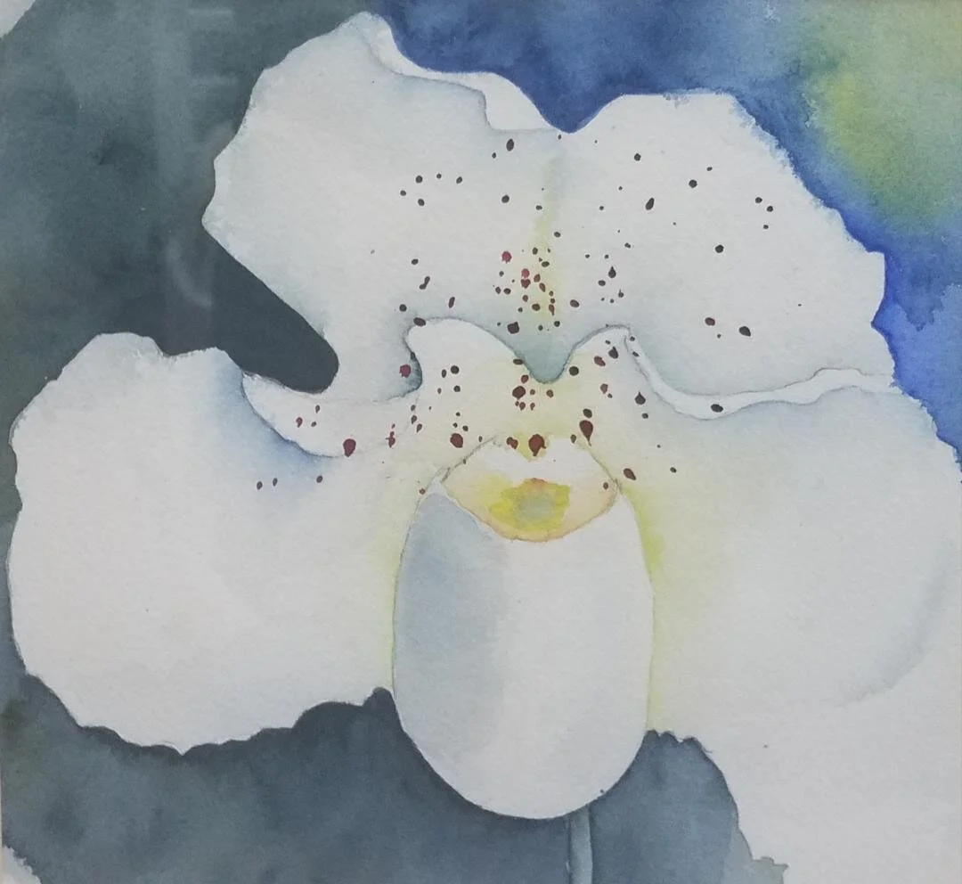 White Orchid©